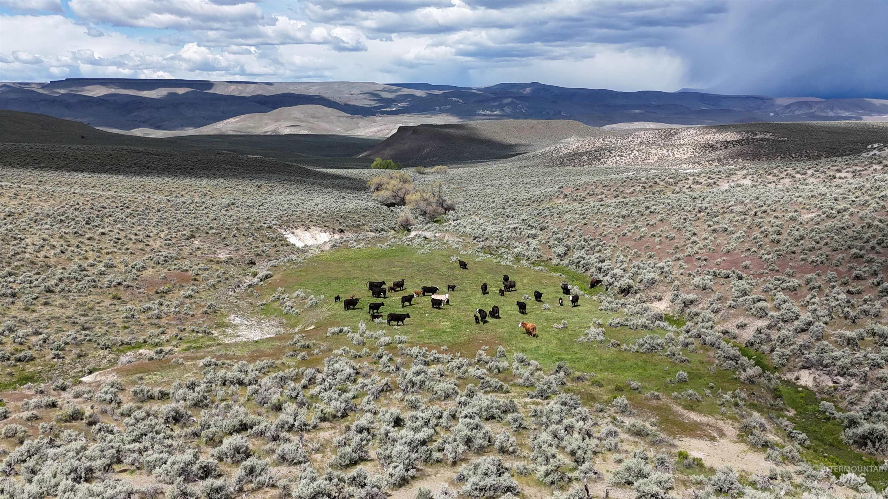 TBD Crowley Rd, Harper, Oregon 97906, Land For Sale, Price $700,000,MLS 98985667