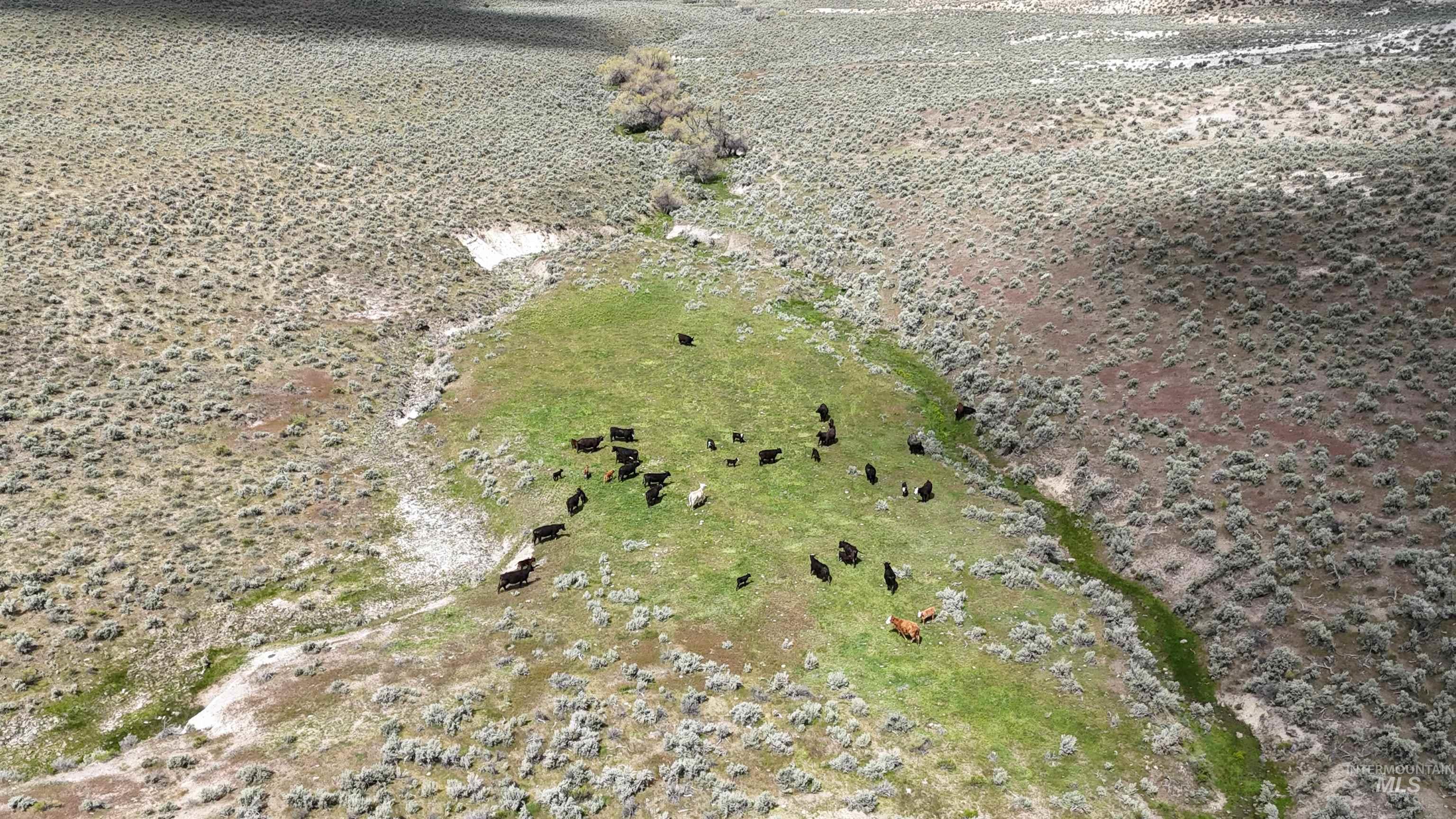 TBD Crowley Rd, Harper, Oregon 97906, Land For Sale, Price $700,000,MLS 98985667