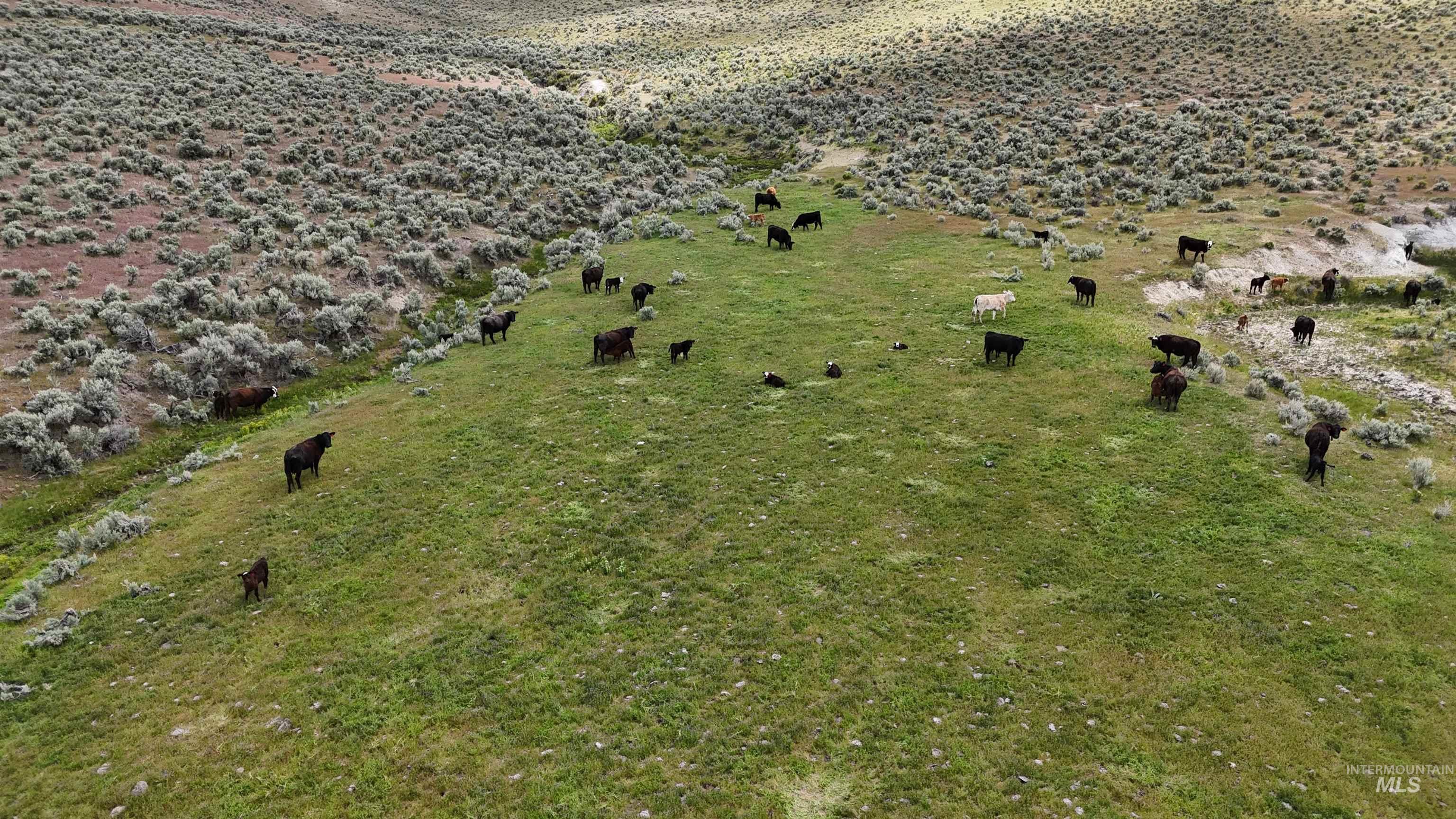 TBD Crowley Rd, Harper, Oregon 97906, Land For Sale, Price $700,000,MLS 98985667