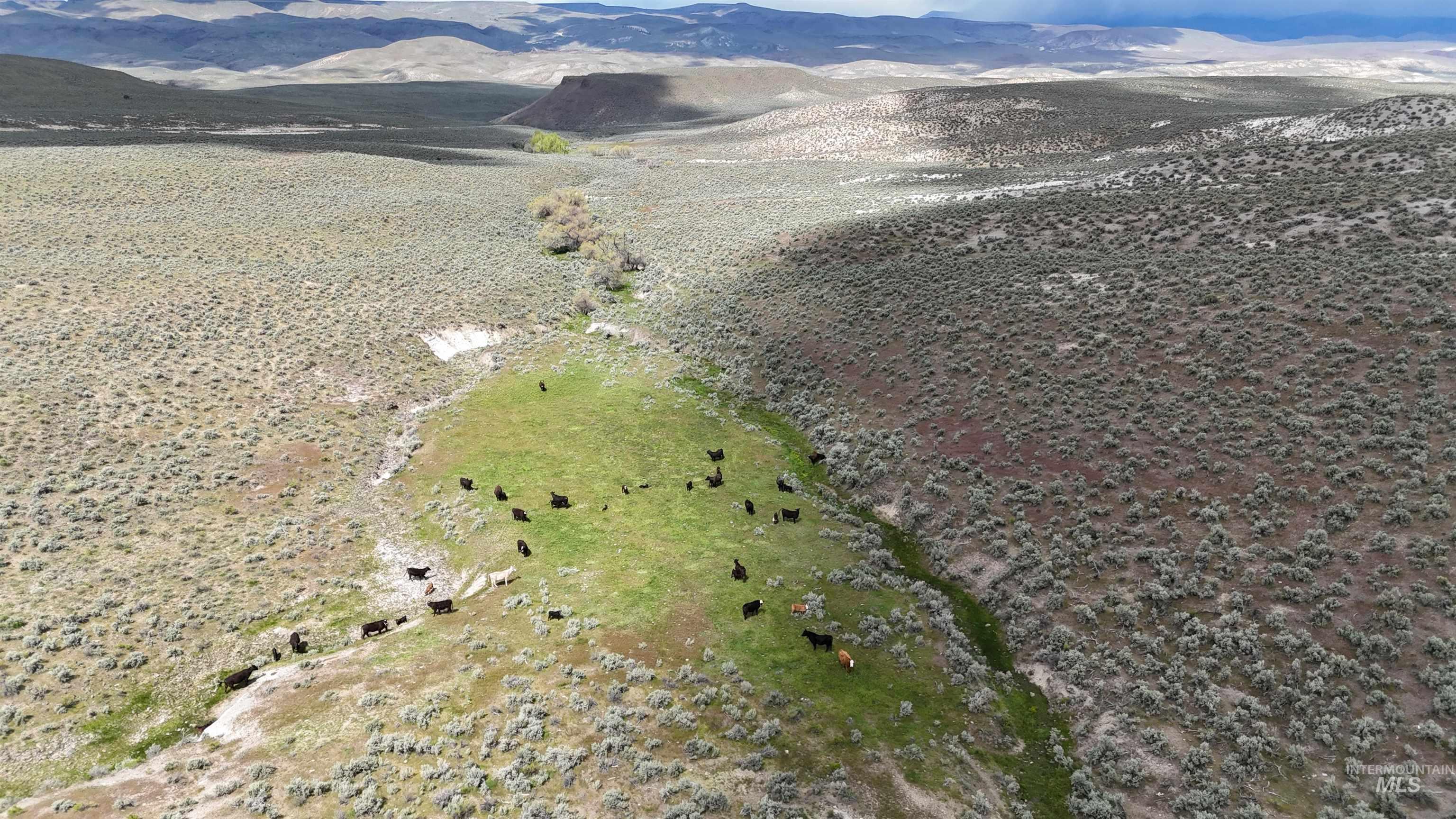 TBD Crowley Rd, Harper, Oregon 97906, Land For Sale, Price $700,000,MLS 98985667