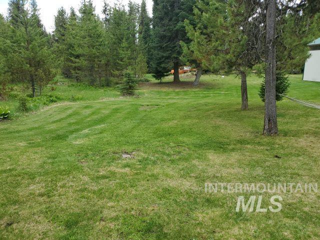 3460 American River Rd, Elk City, Idaho 83525, 3 Bedrooms, 2 Bathrooms, Residential For Sale, Price $525,000,MLS 98985673