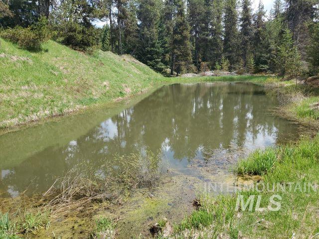3460 American River Rd, Elk City, Idaho 83525, 3 Bedrooms, 2 Bathrooms, Residential For Sale, Price $525,000,MLS 98985673