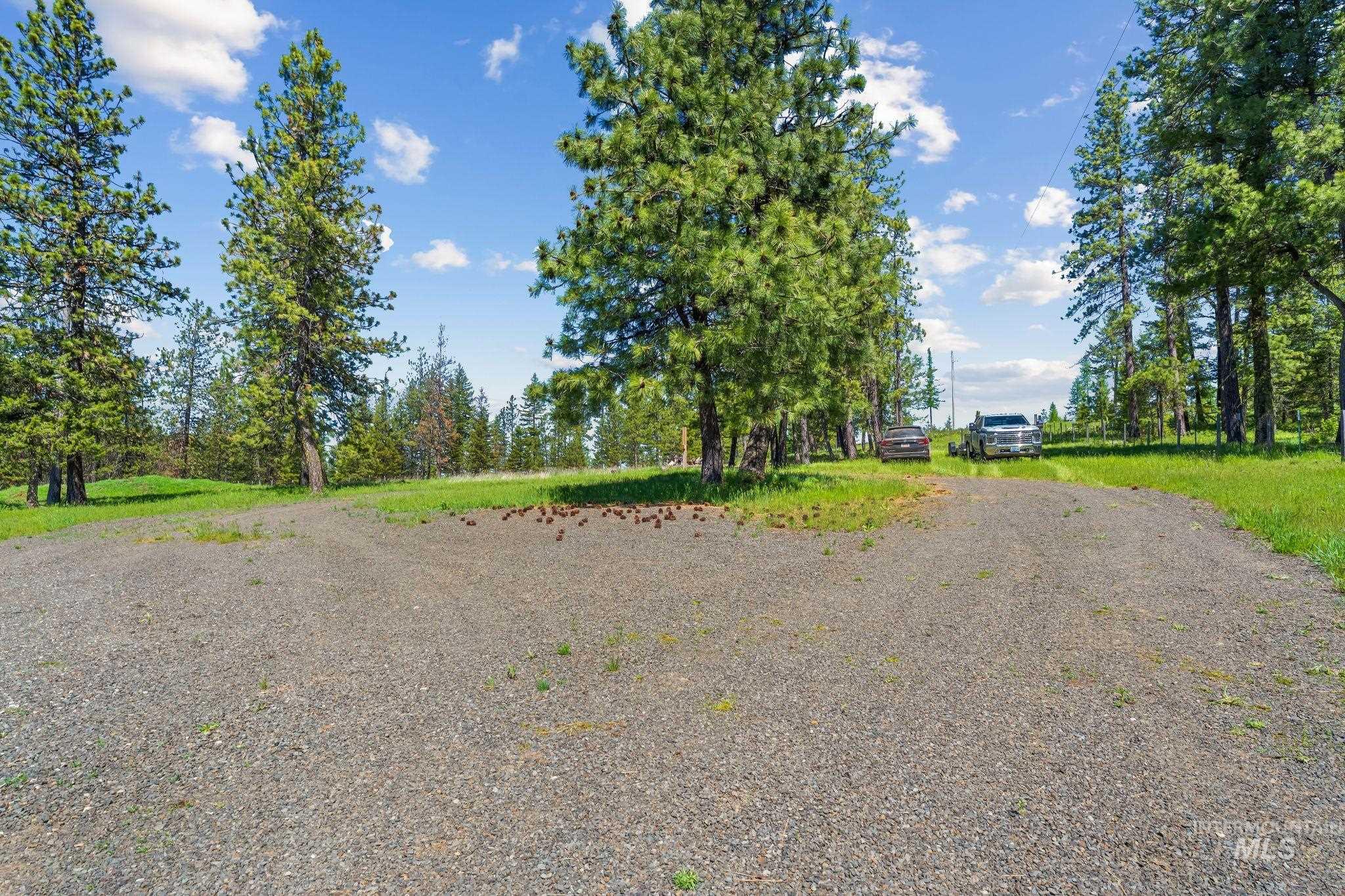507 Bearlea Road, Anatone, Washington 99402, 2 Bedrooms, 2 Bathrooms, Residential For Sale, Price $499,500,MLS 98985693