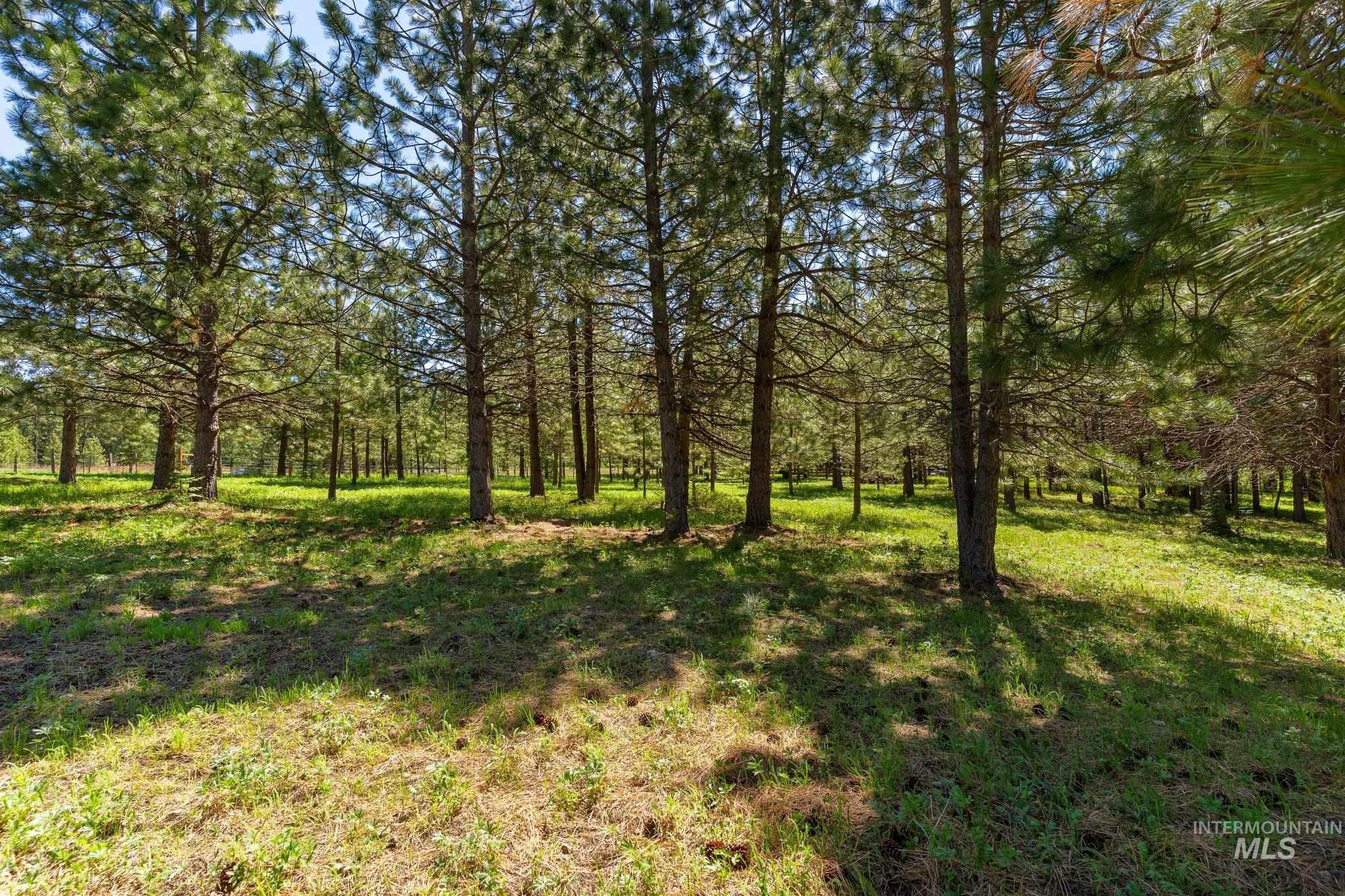 507 Bearlea Road, Anatone, Washington 99402, 2 Bedrooms, 2 Bathrooms, Residential For Sale, Price $499,500,MLS 98985693