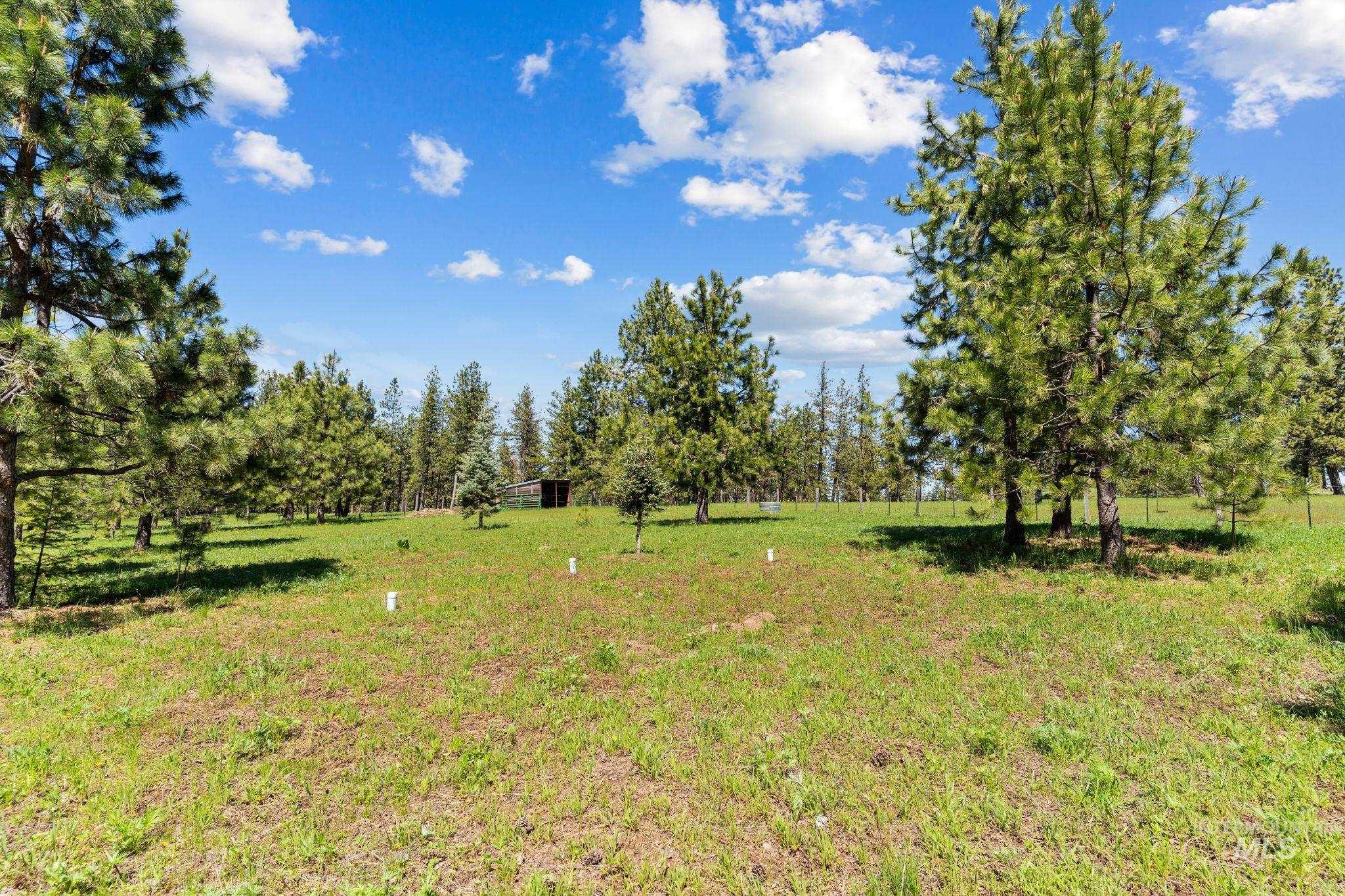 507 Bearlea Road, Anatone, Washington 99402, 2 Bedrooms, 2 Bathrooms, Residential For Sale, Price $499,500,MLS 98985693