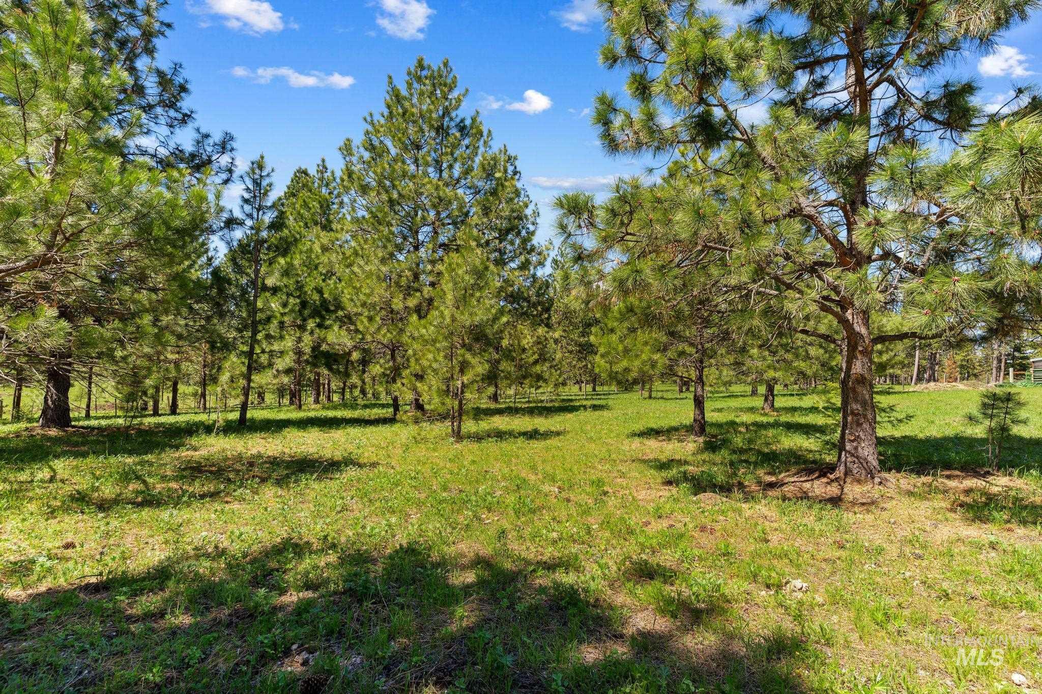 507 Bearlea Road, Anatone, Washington 99402, 2 Bedrooms, 2 Bathrooms, Residential For Sale, Price $499,500,MLS 98985693