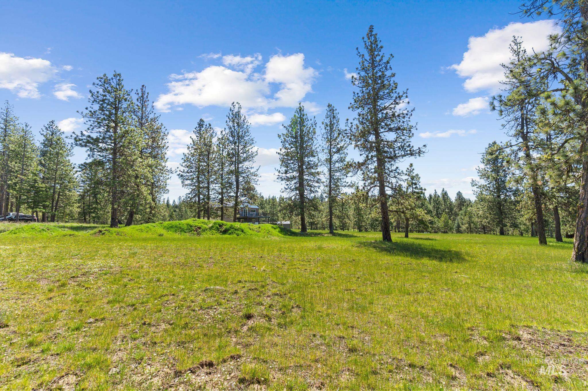507 Bearlea Road, Anatone, Washington 99402, 2 Bedrooms, 2 Bathrooms, Residential For Sale, Price $499,500,MLS 98985693