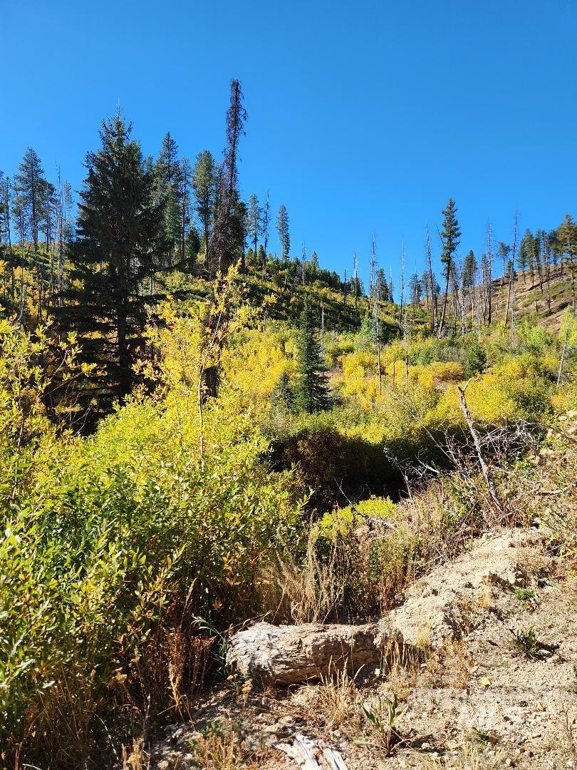 TBD Marsh Creek, Featherville, Idaho 83647, Land For Sale, Price $225,000,MLS 98985737