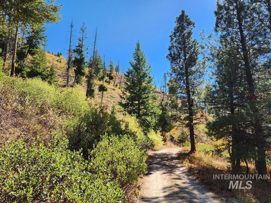 TBD Marsh Creek, Featherville, Idaho 83647, Land For Sale, Price $225,000,MLS 98985737