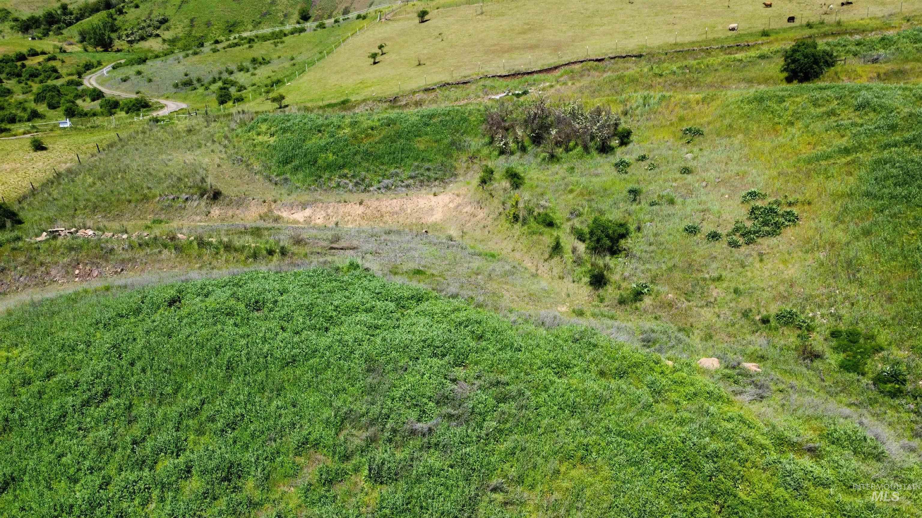 34245 Grandview Lane, Lenore, Idaho 83541, Land For Sale, Price $130,000, 98985748