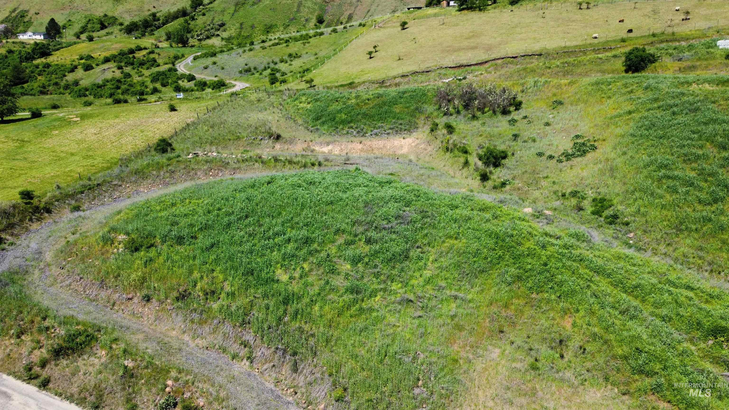 34245 Grandview Lane, Lenore, Idaho 83541, Land For Sale, Price $130,000, 98985748