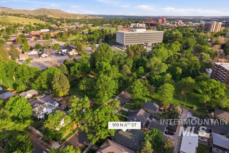 919 N 6th St, Boise, Idaho 83702, 3 Bedrooms, 2.5 Bathrooms, Residential For Sale, Price $1,200,000, 98985753
