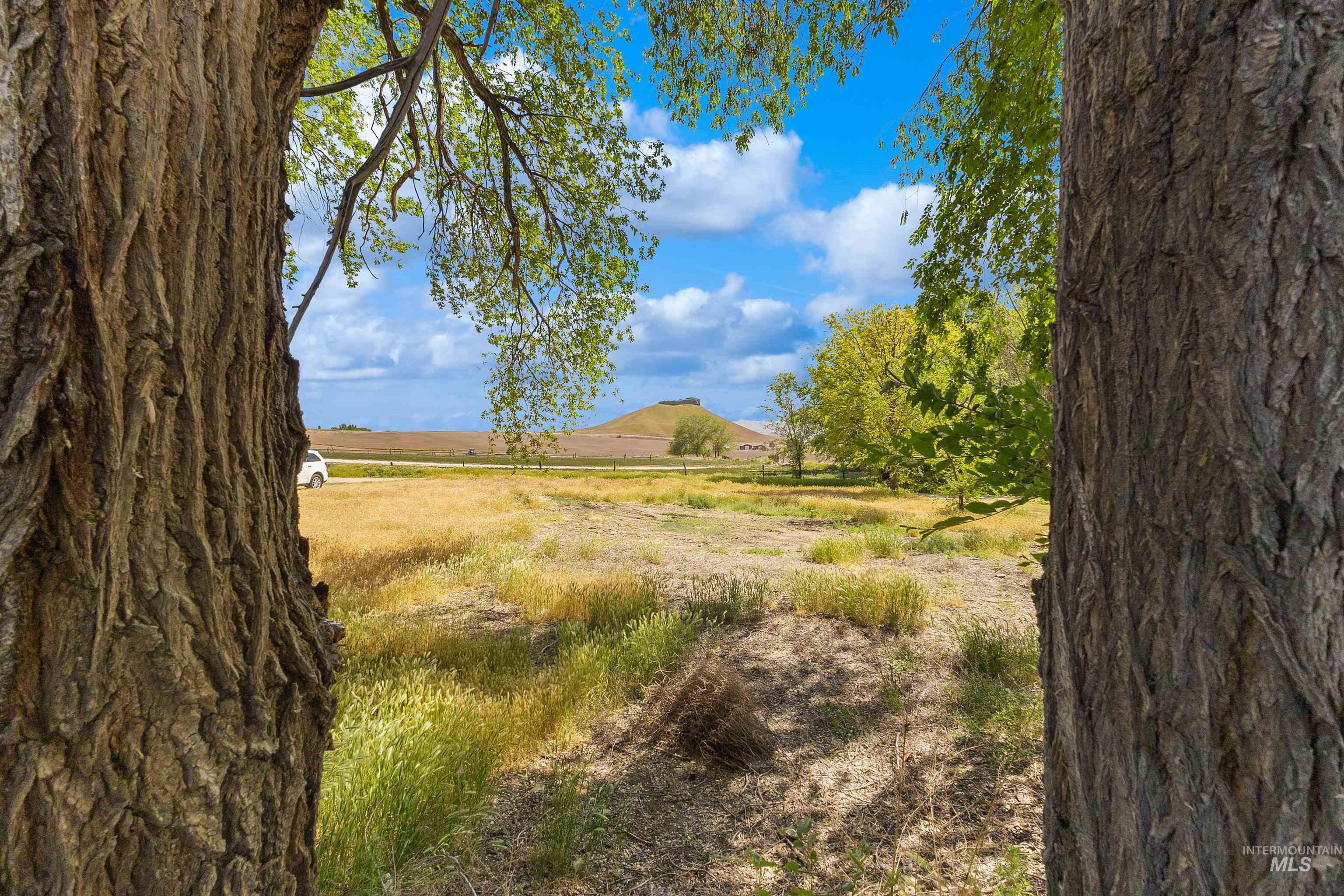19876 Scotts Lane, Caldwell, Idaho 83607, 3 Bedrooms, 2.5 Bathrooms, Residential For Sale, Price $750,000,MLS 98985758