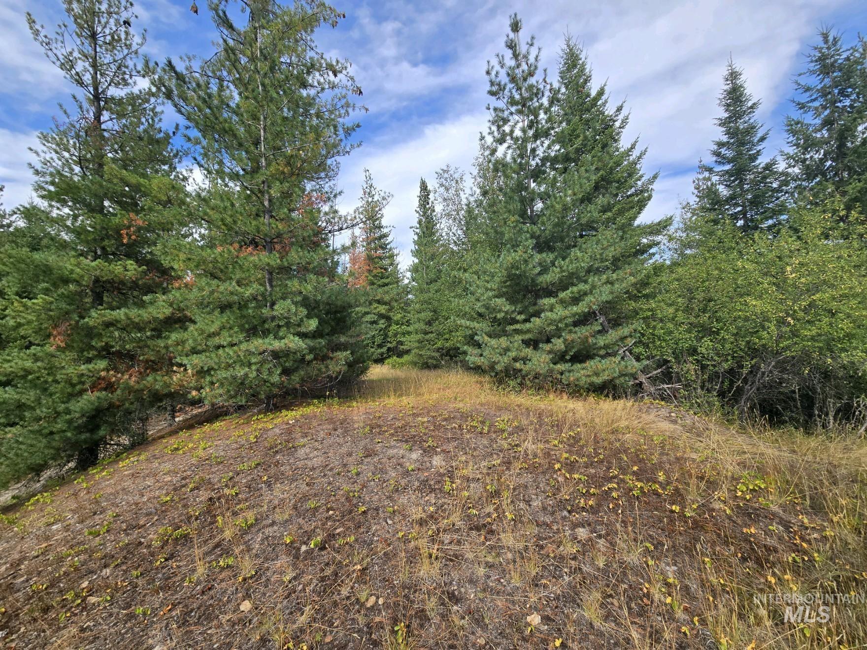 NNA-A Silver Valley Road, Kellogg, Idaho 83837, Land For Sale, Price $389,000,MLS 98985767