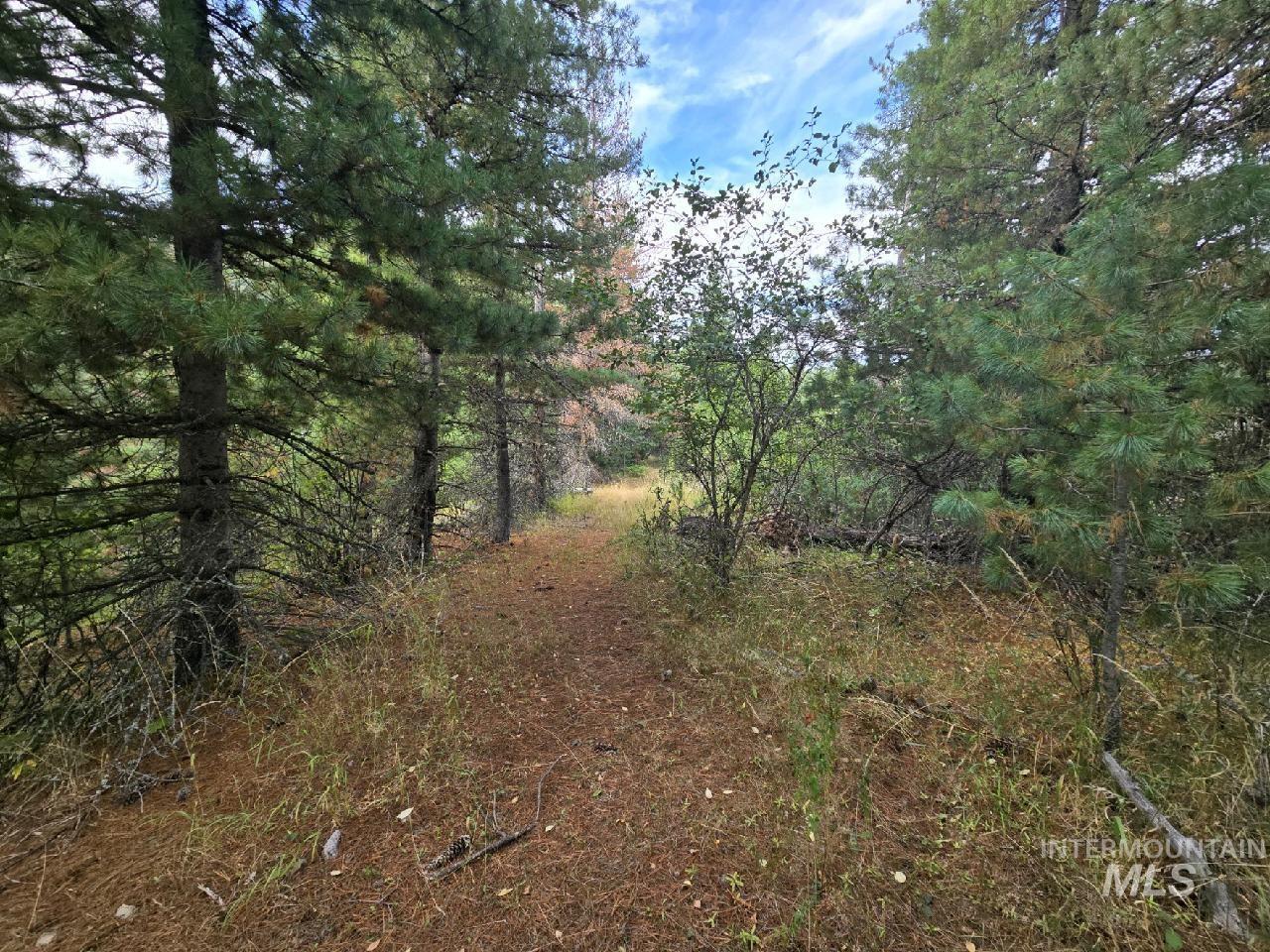 NNA-C Silver Valley Road, Kellogg, Idaho 83837-0000, Land For Sale, Price $285,000,MLS 98985786
