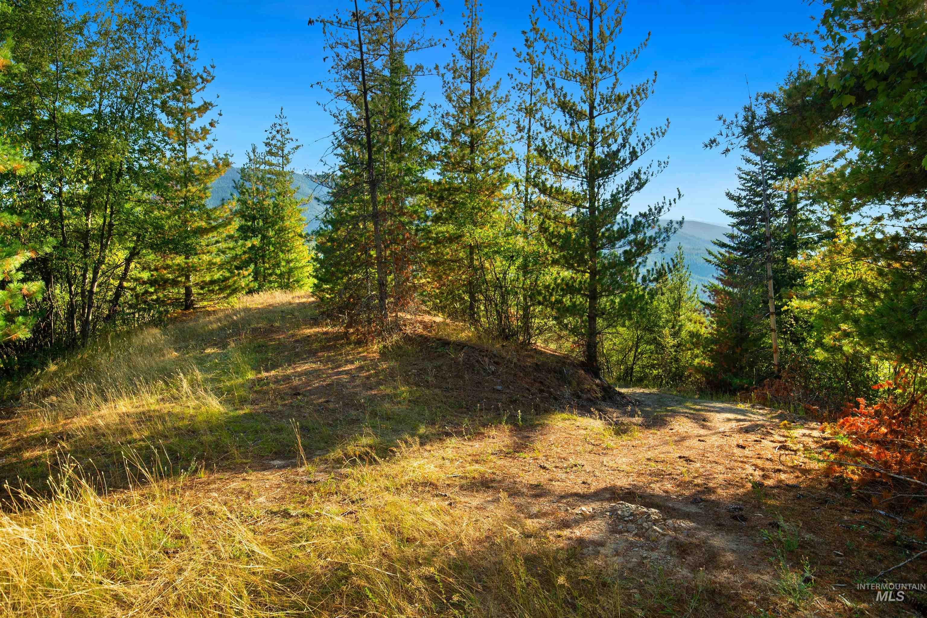 NNA-C Silver Valley Road, Kellogg, Idaho 83837-0000, Land For Sale, Price $285,000,MLS 98985786