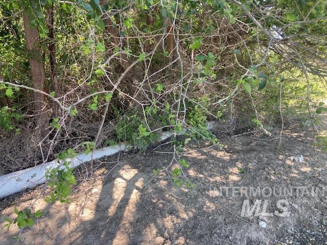 TBD Hwy 201, Ontario, Oregon 97914, Land For Sale, Price $250,000,MLS 98985817