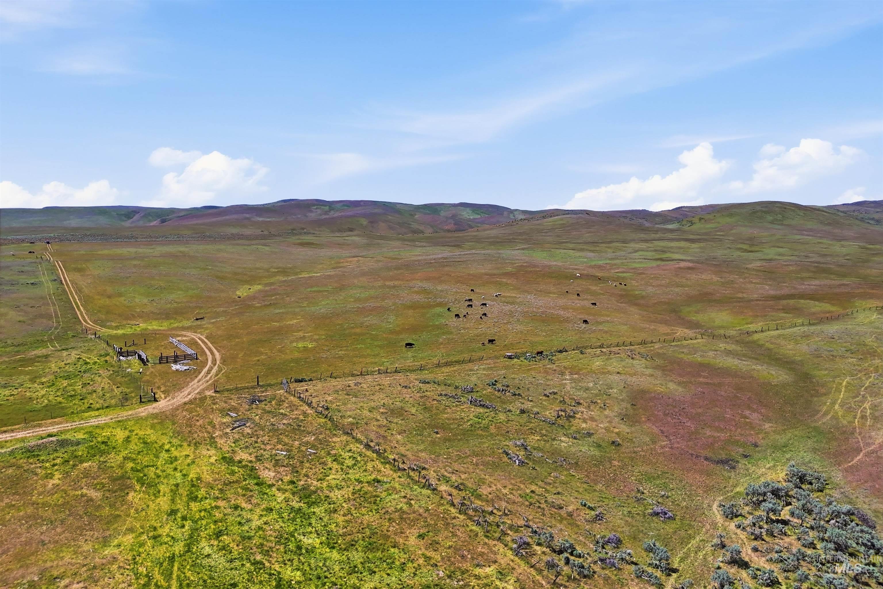 TBD Little Willow Rd, Payette, Idaho 83661, Land For Sale, Price $1,850,000, 98985825