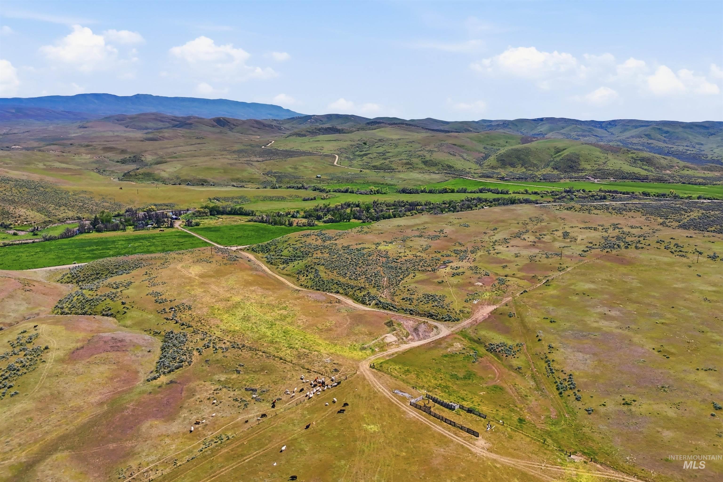 TBD Little Willow Rd, Payette, Idaho 83661, Farm & Ranch For Sale, Price $1,850,000, 98985826
