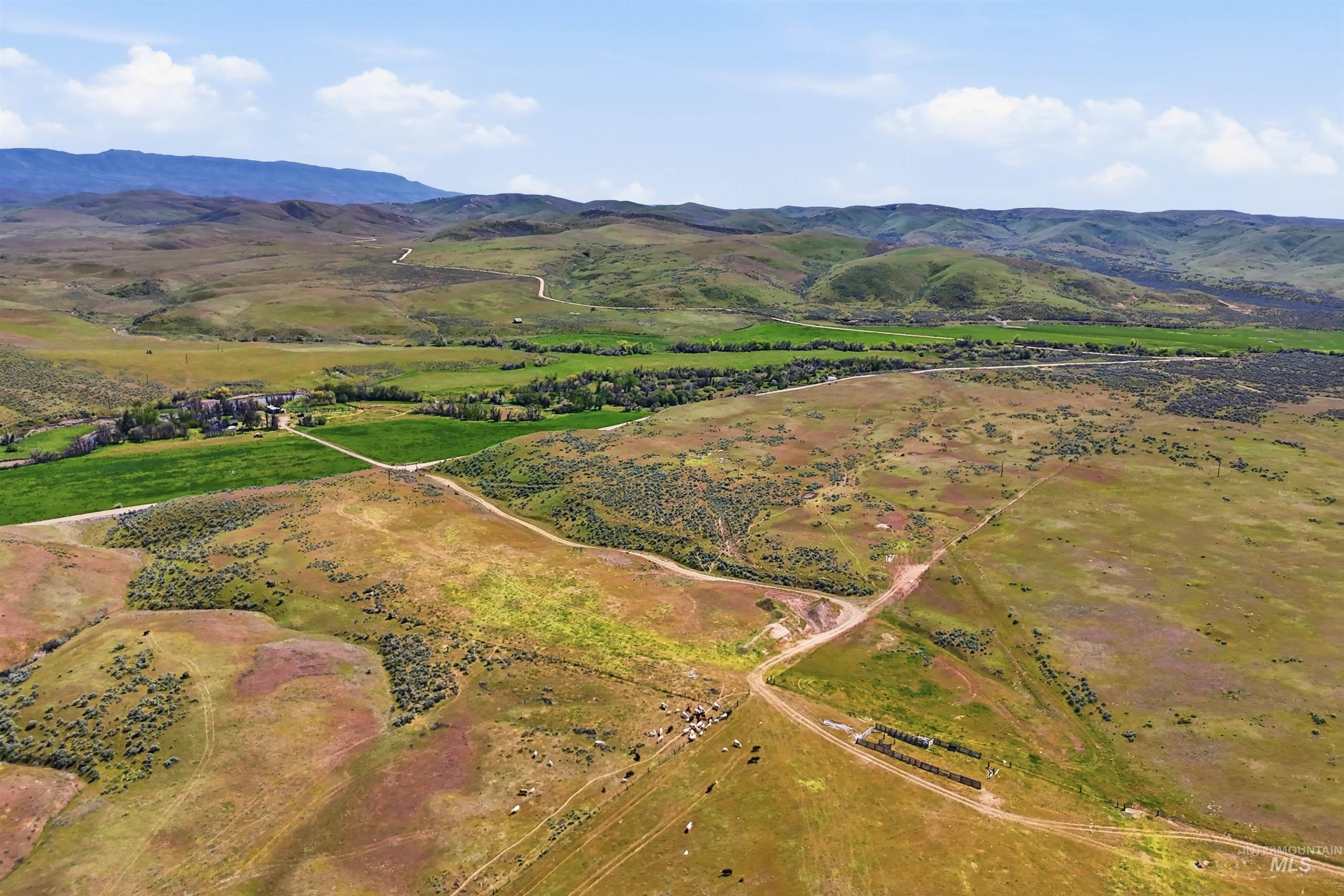 TBD Little Willow Rd, Payette, Idaho 83661, Farm & Ranch For Sale, Price $1,850,000, 98985826