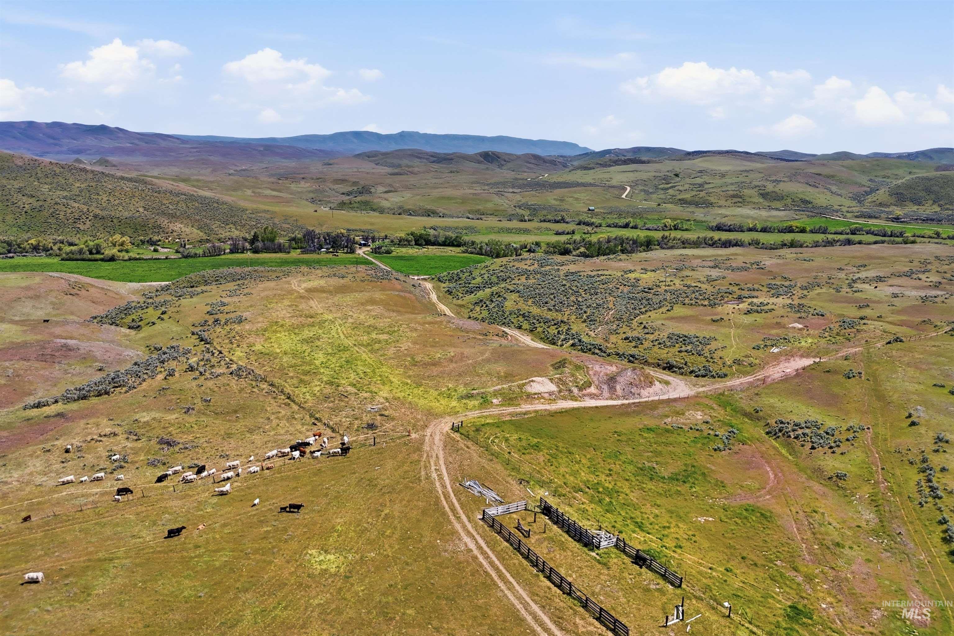 TBD Little Willow Rd, Payette, Idaho 83661, Farm & Ranch For Sale, Price $1,850,000, 98985826