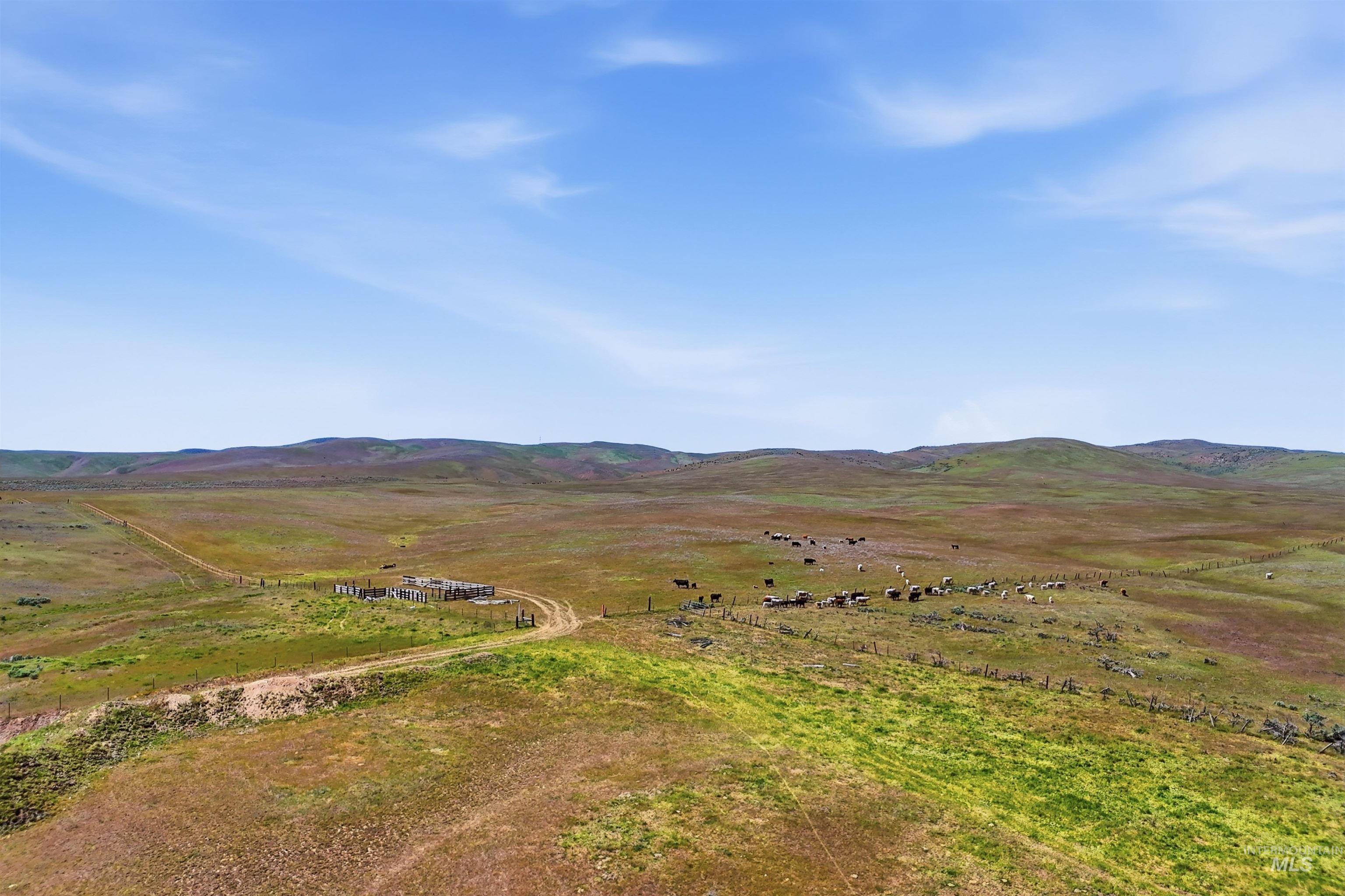 TBD Little Willow Rd, Payette, Idaho 83661, Farm & Ranch For Sale, Price $1,850,000, 98985826