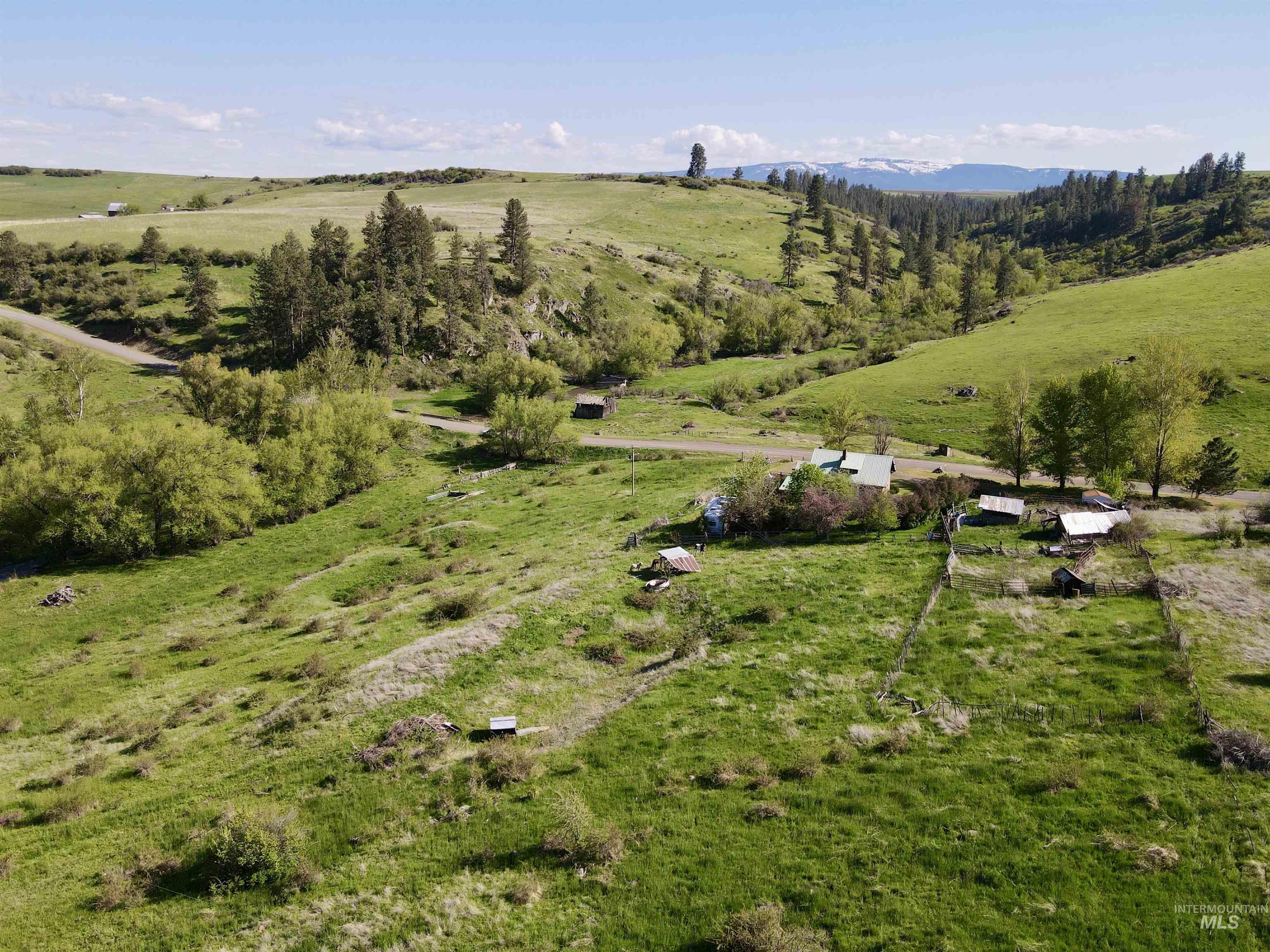 1349 Reservation Line Road, Grangeville, Idaho 83530, 3 Bedrooms, 2 Bathrooms, Residential For Sale, Price $429,000,MLS 98985830