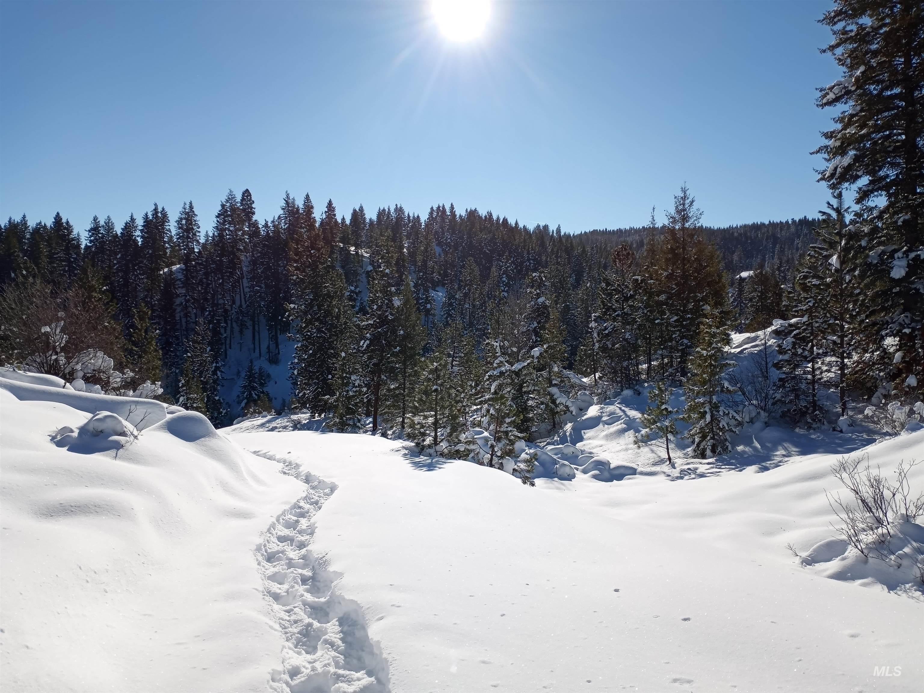 380 - TBD Clear Creek Road, Boise, Idaho 83716, Land For Sale, Price $849,000,MLS 98985836