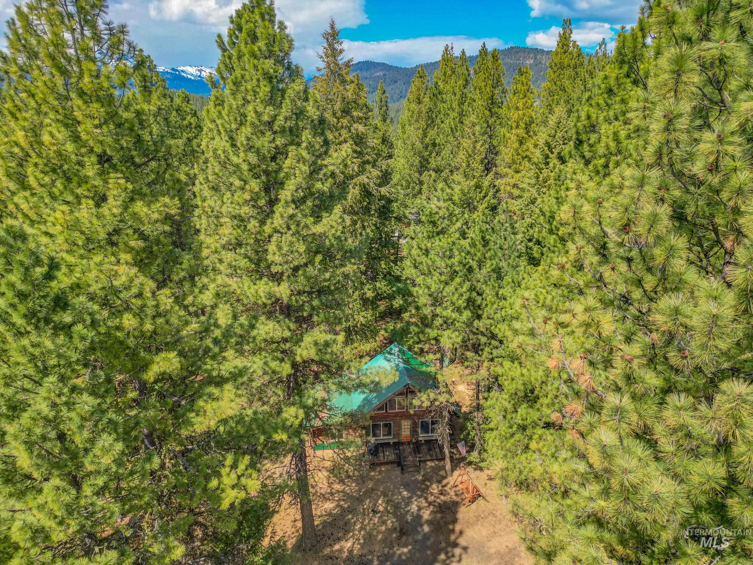 2903 Bear Paw Court, New Meadows, Idaho 83654, 2 Bedrooms, 1 Bathroom, Residential For Sale, Price $499,900,MLS 98985875