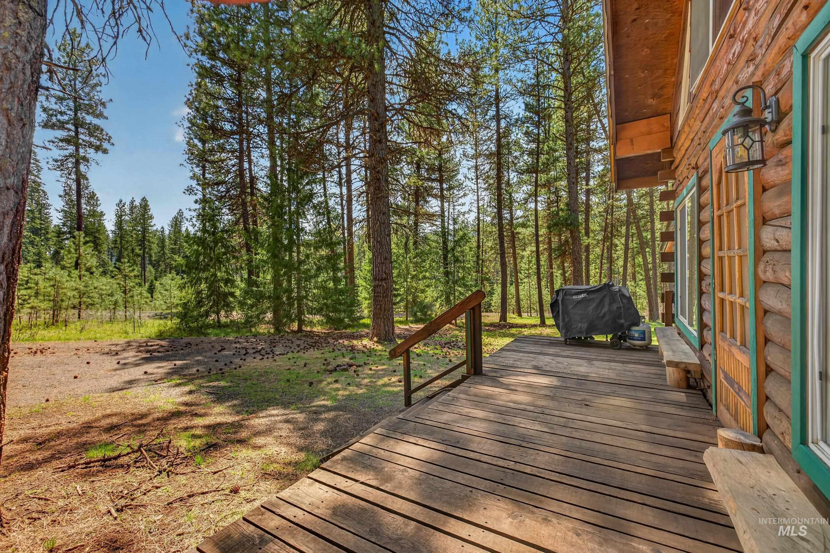 2903 Bear Paw Court, New Meadows, Idaho 83654, 2 Bedrooms, 1 Bathroom, Residential For Sale, Price $499,900,MLS 98985875