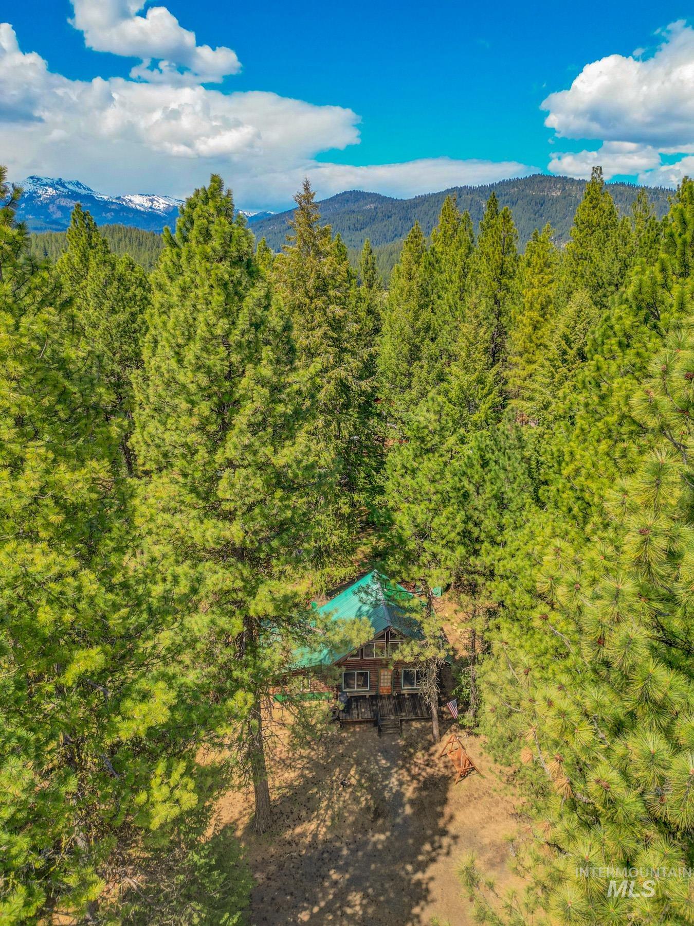 2903 Bear Paw Court, New Meadows, Idaho 83654, 2 Bedrooms, 1 Bathroom, Residential For Sale, Price $499,900,MLS 98985875