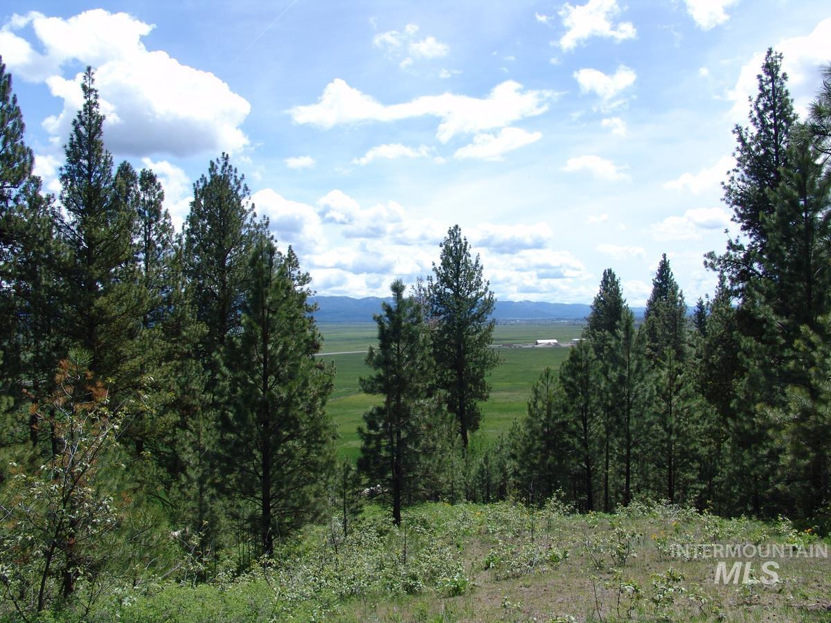 28 Rehn Loop, Cascade, Idaho 83611, Land For Sale, Price $275,000,MLS 98985889