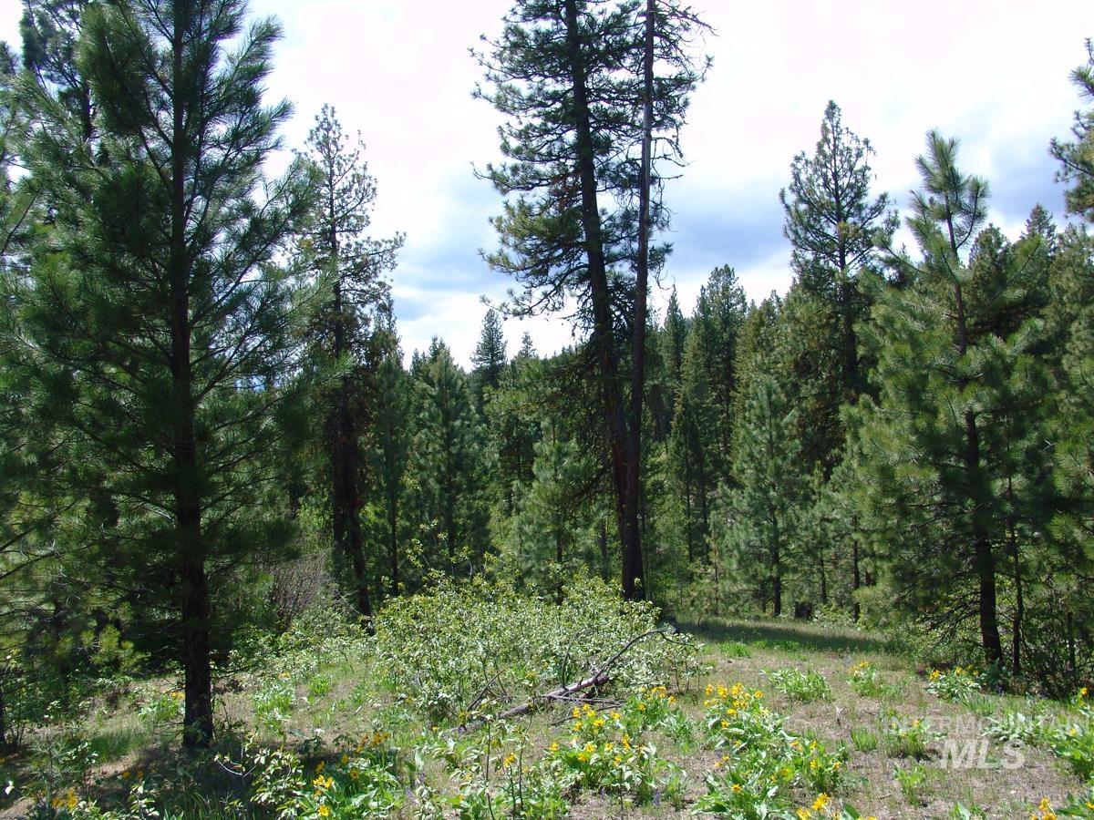 28 Rehn Loop, Cascade, Idaho 83611, Land For Sale, Price $275,000,MLS 98985889