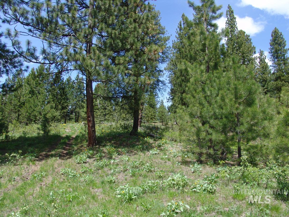 28 Rehn Loop, Cascade, Idaho 83611, Land For Sale, Price $275,000,MLS 98985889