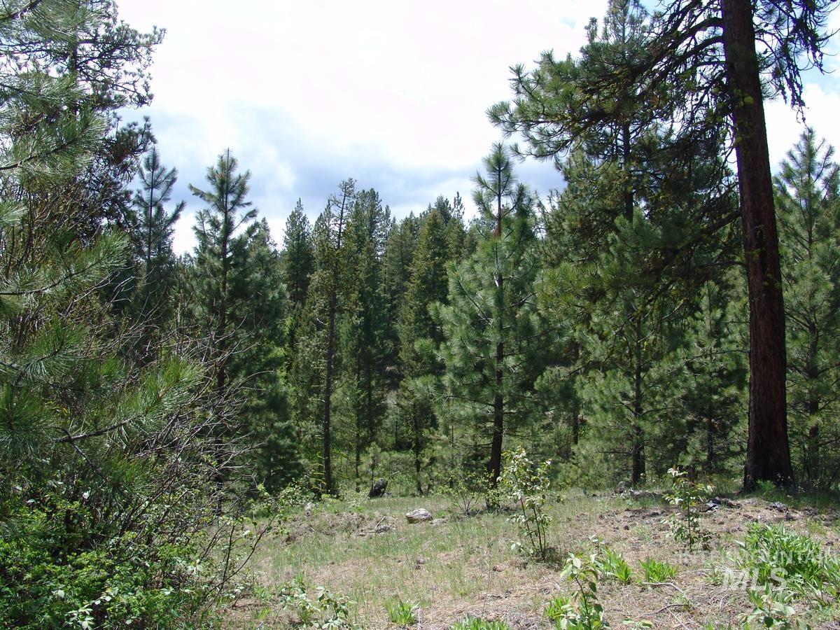 28 Rehn Loop, Cascade, Idaho 83611, Land For Sale, Price $275,000,MLS 98985889
