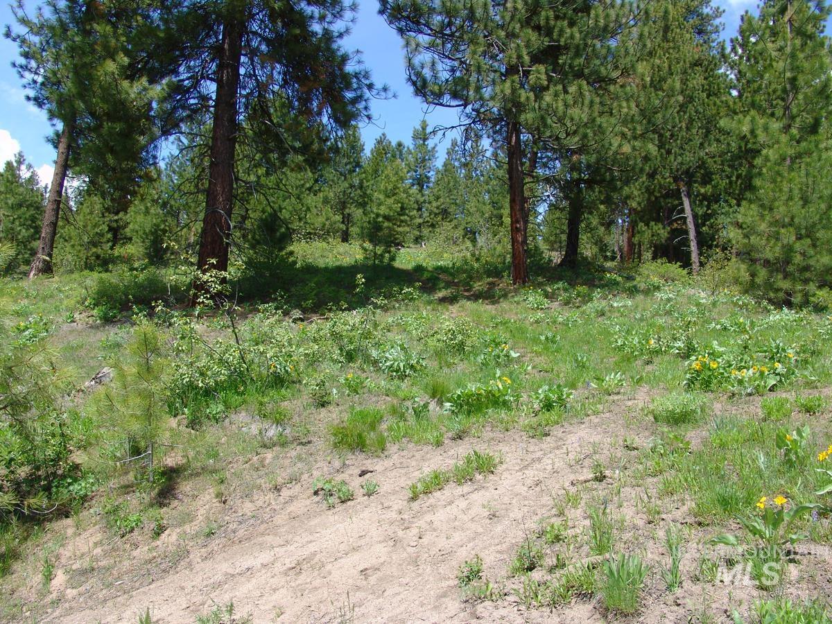 28 Rehn Loop, Cascade, Idaho 83611, Land For Sale, Price $275,000,MLS 98985889