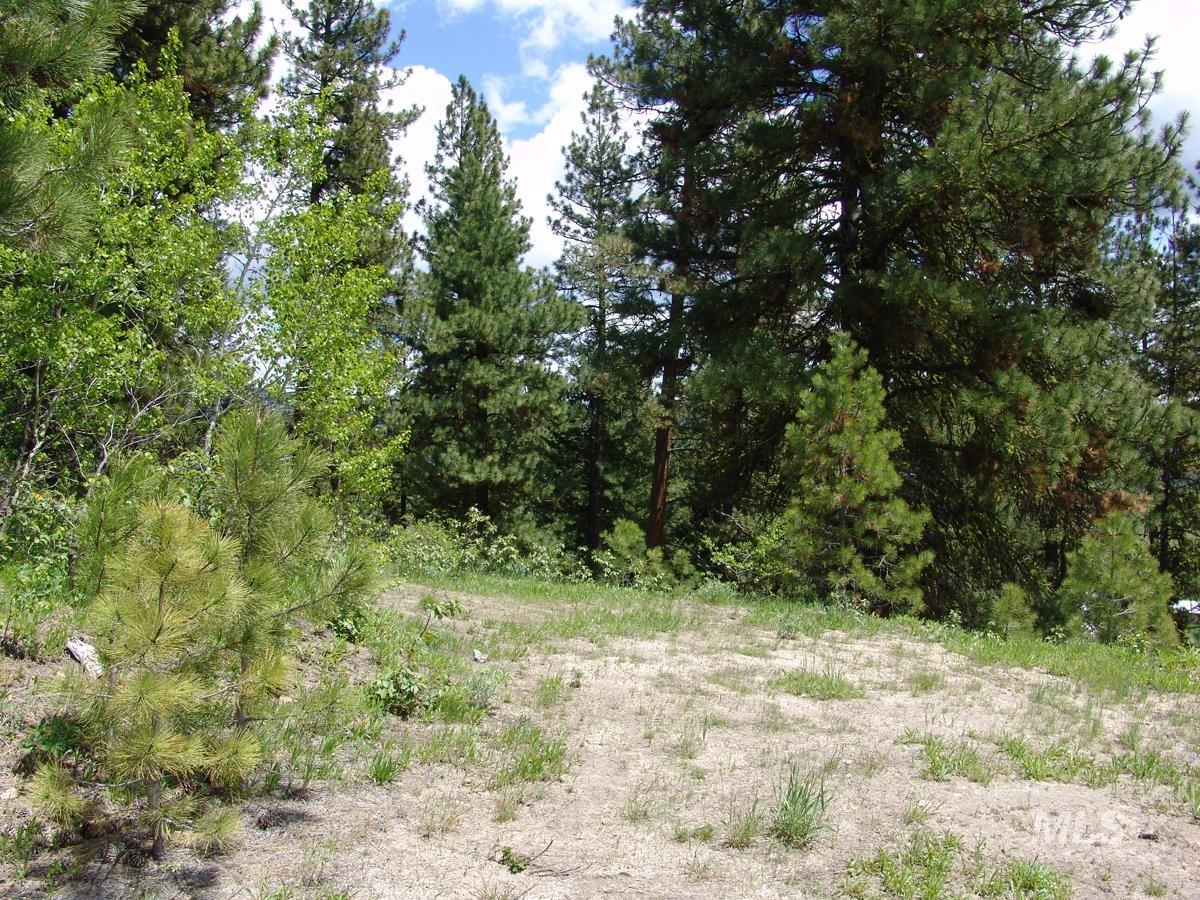 28 Rehn Loop, Cascade, Idaho 83611, Land For Sale, Price $275,000,MLS 98985889