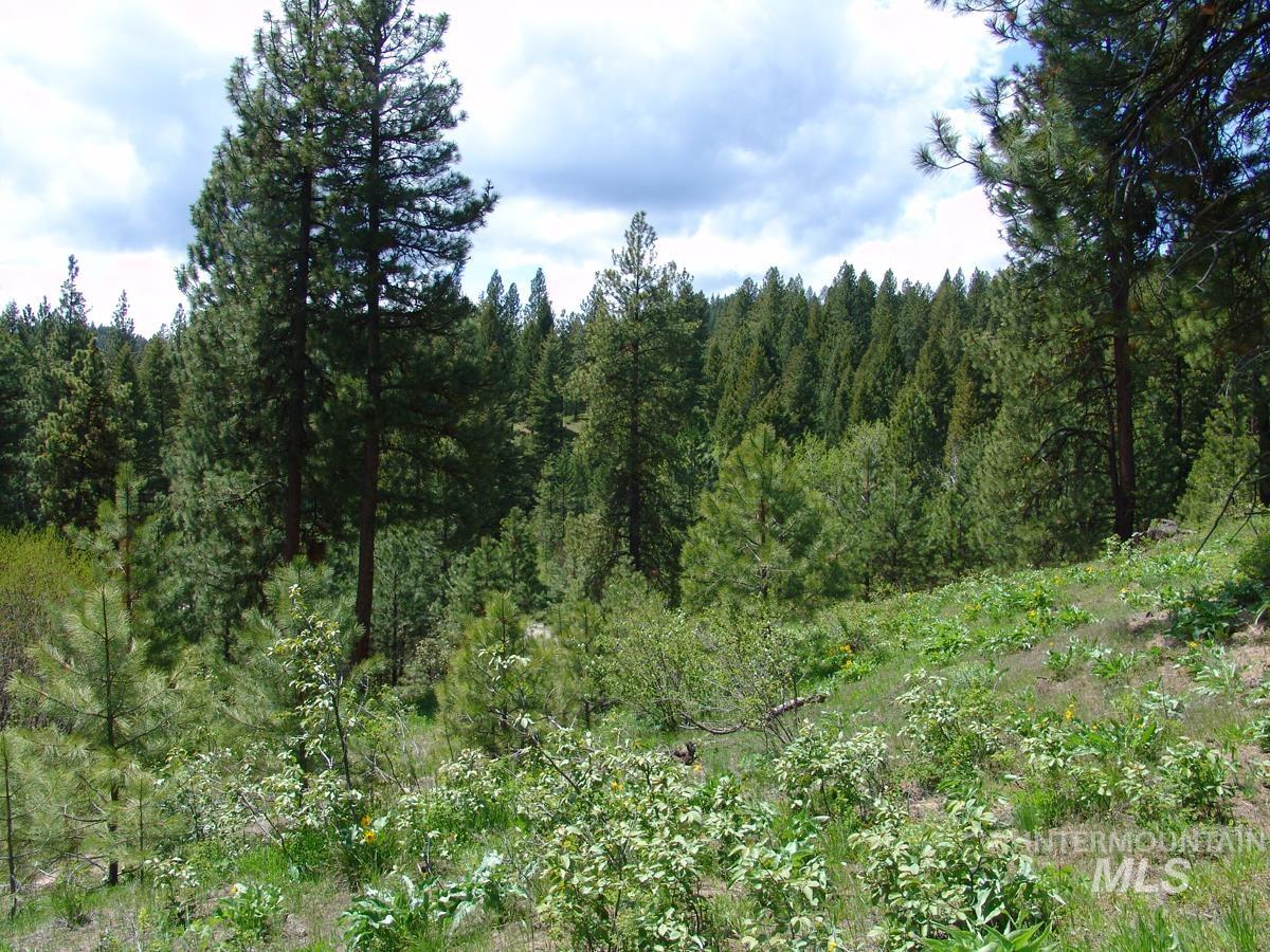 28 Rehn Loop, Cascade, Idaho 83611, Land For Sale, Price $275,000,MLS 98985889