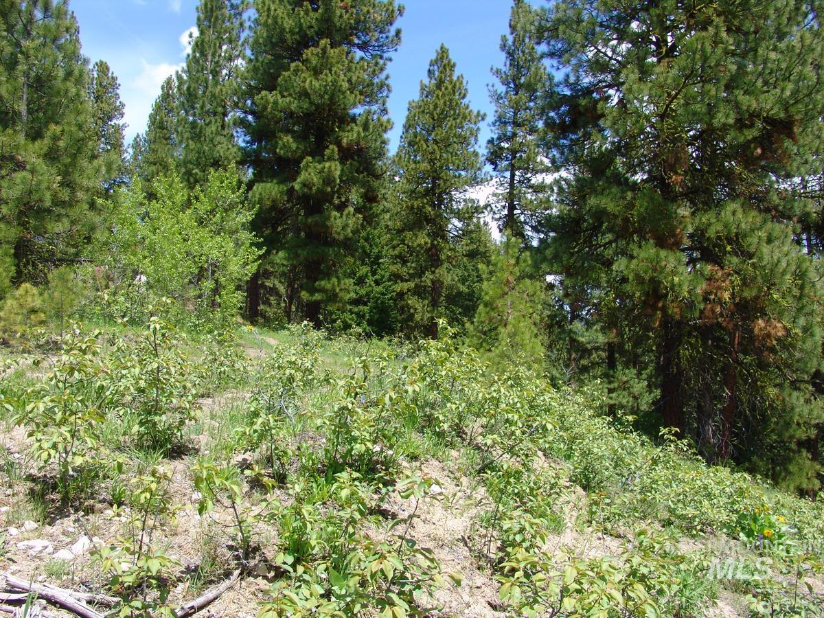 28 Rehn Loop, Cascade, Idaho 83611, Land For Sale, Price $275,000,MLS 98985889