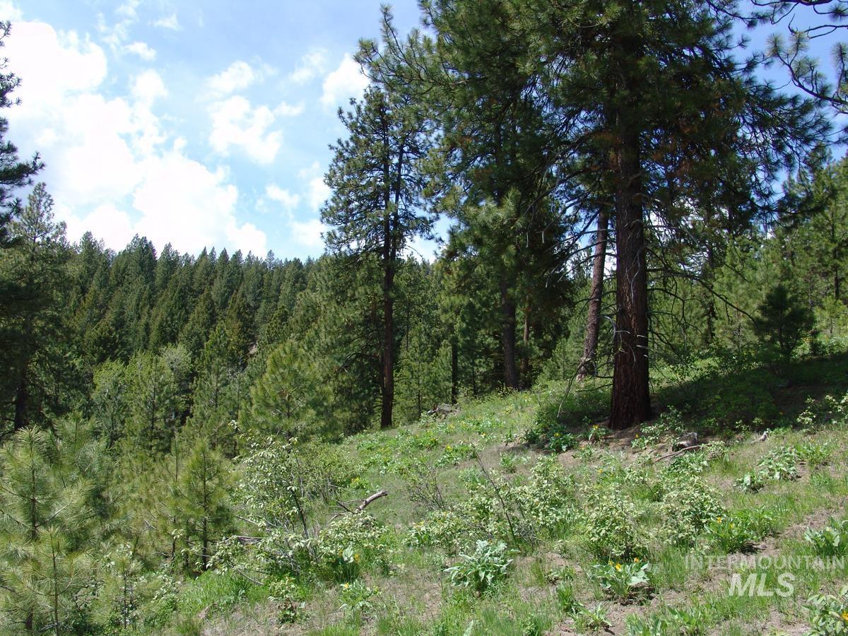 28 Rehn Loop, Cascade, Idaho 83611, Land For Sale, Price $275,000,MLS 98985889