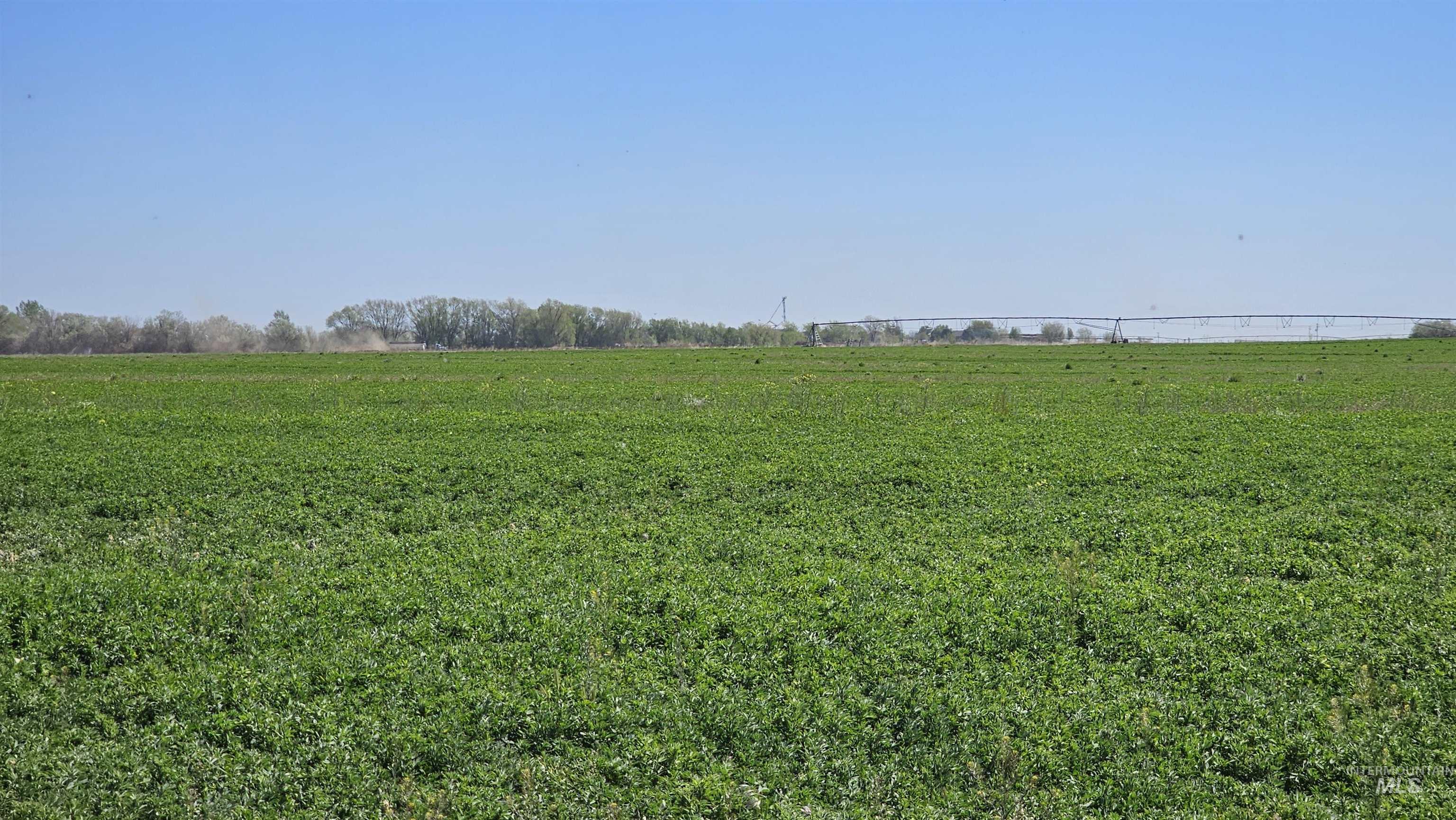 Approx. 1500 E 3300 S, Wendell, Idaho 83355, Farm & Ranch For Sale, Price $2,000,000, 98985935