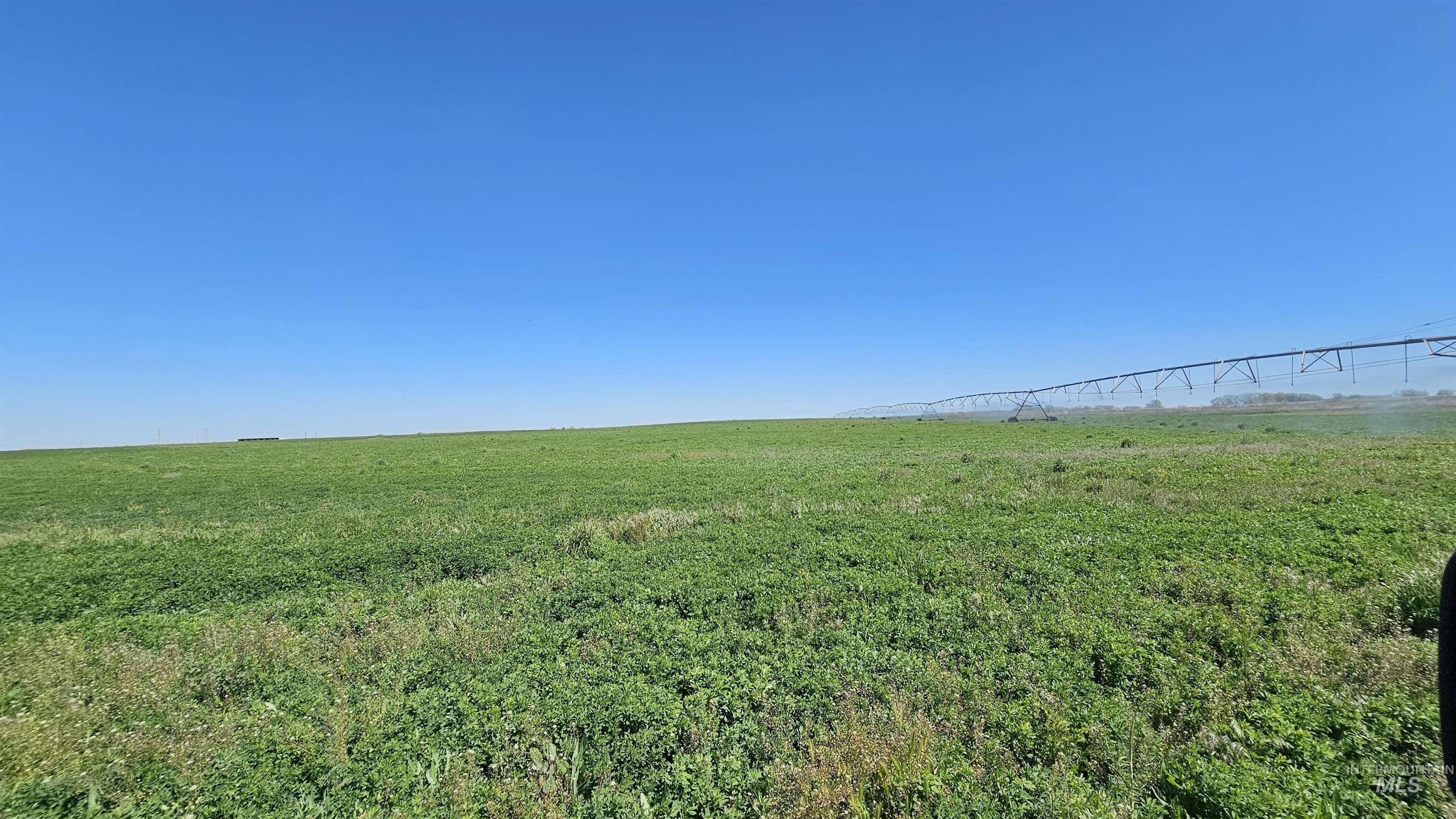Approx. 1500 E 3300 S, Wendell, Idaho 83355, Farm & Ranch For Sale, Price $2,000,000, 98985935