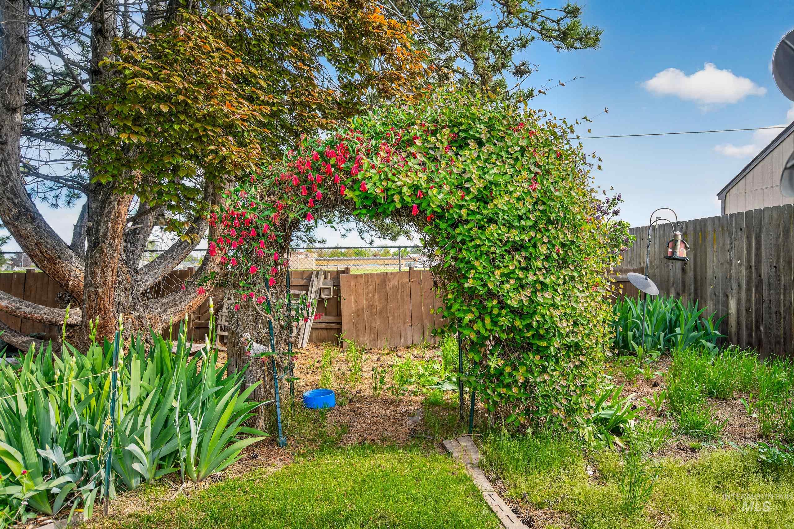 419 Chaparro St, Caldwell, Idaho 83605, 3 Bedrooms, 2 Bathrooms, Residential For Sale, Price $300,000,MLS 98985965