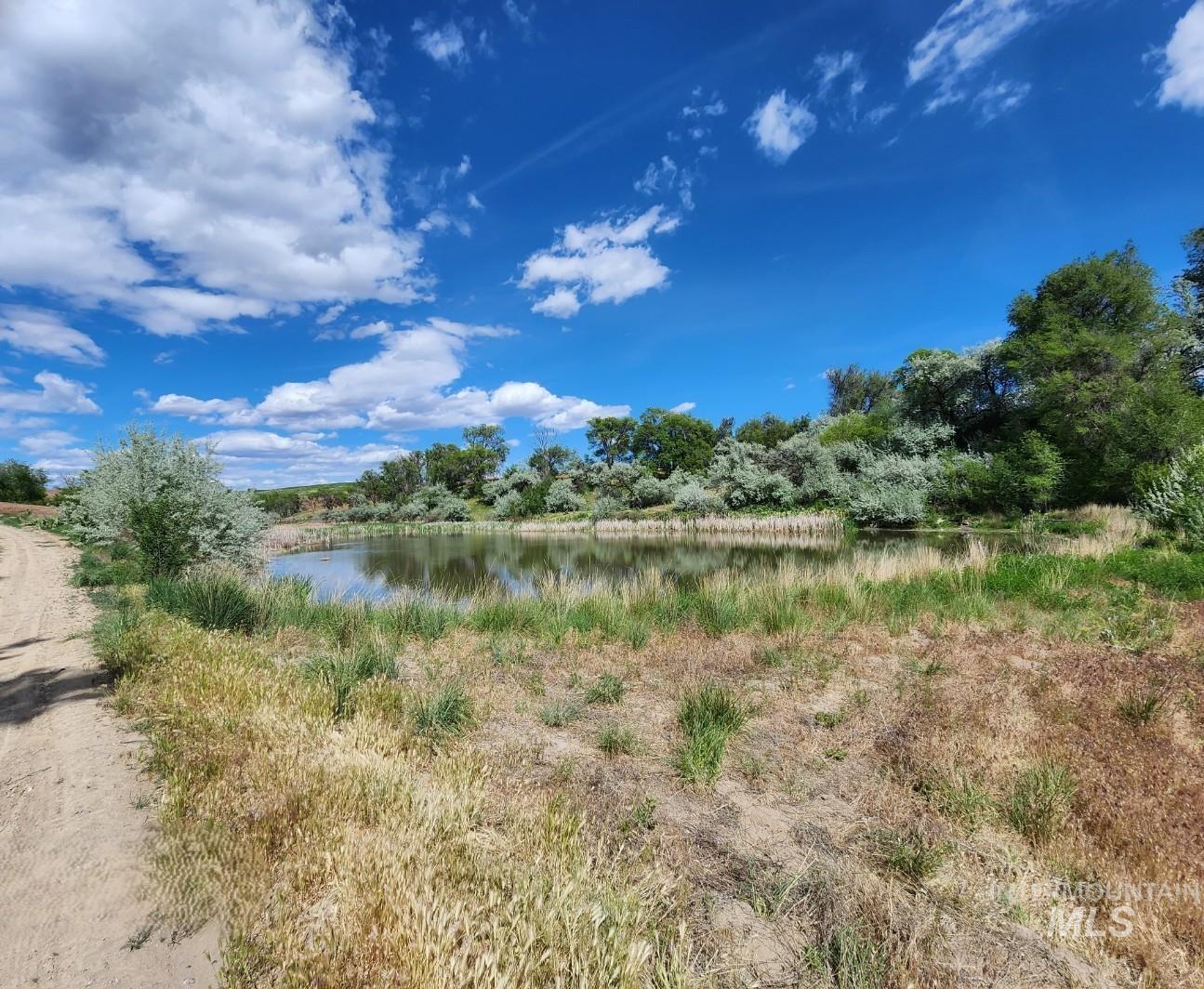 3897 W Elm Road, Vale, Oregon 97918, 5 Bedrooms, 3 Bathrooms, Farm & Ranch For Sale, Price $4,250,000,MLS 98985992