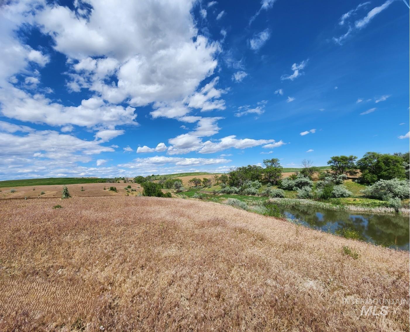 3897 W Elm Road, Vale, Oregon 97918, 5 Bedrooms, 3 Bathrooms, Farm & Ranch For Sale, Price $4,250,000,MLS 98985992