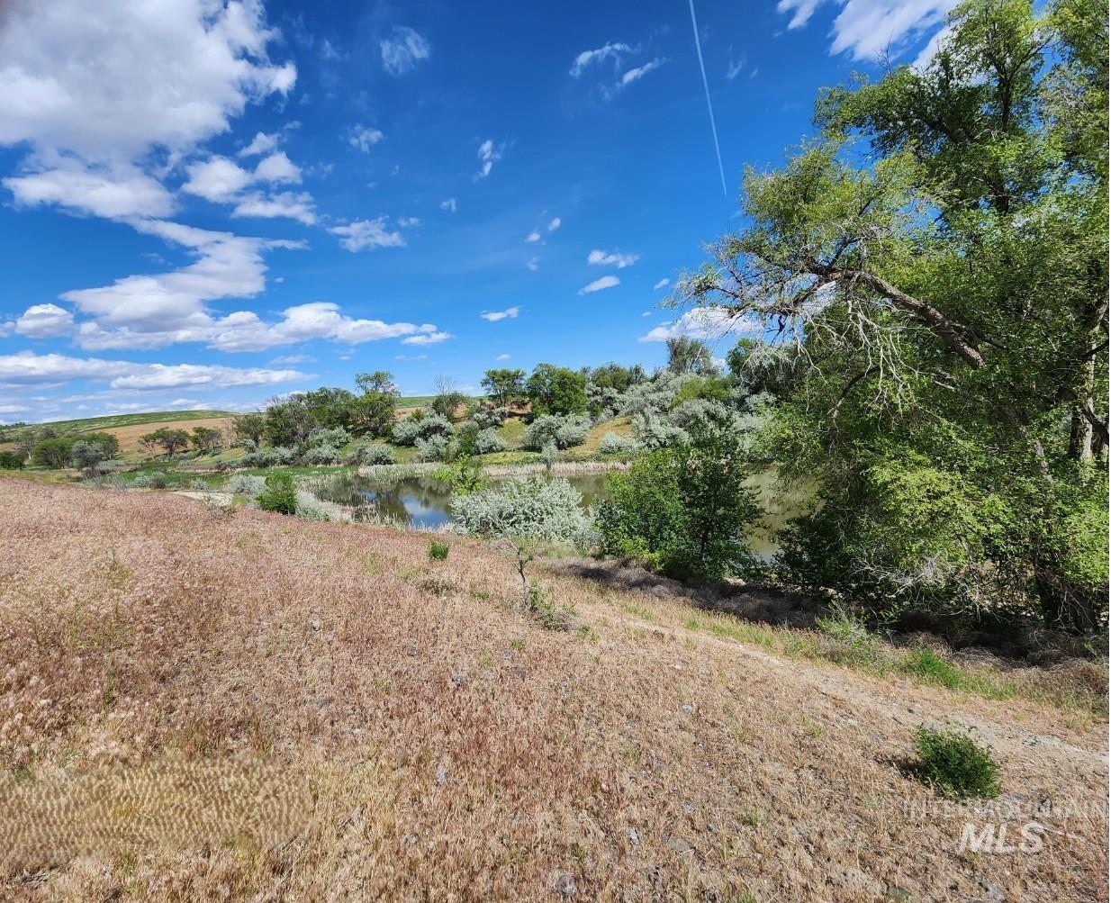 3897 W Elm Road, Vale, Oregon 97918, 5 Bedrooms, 3 Bathrooms, Farm & Ranch For Sale, Price $4,250,000,MLS 98985992