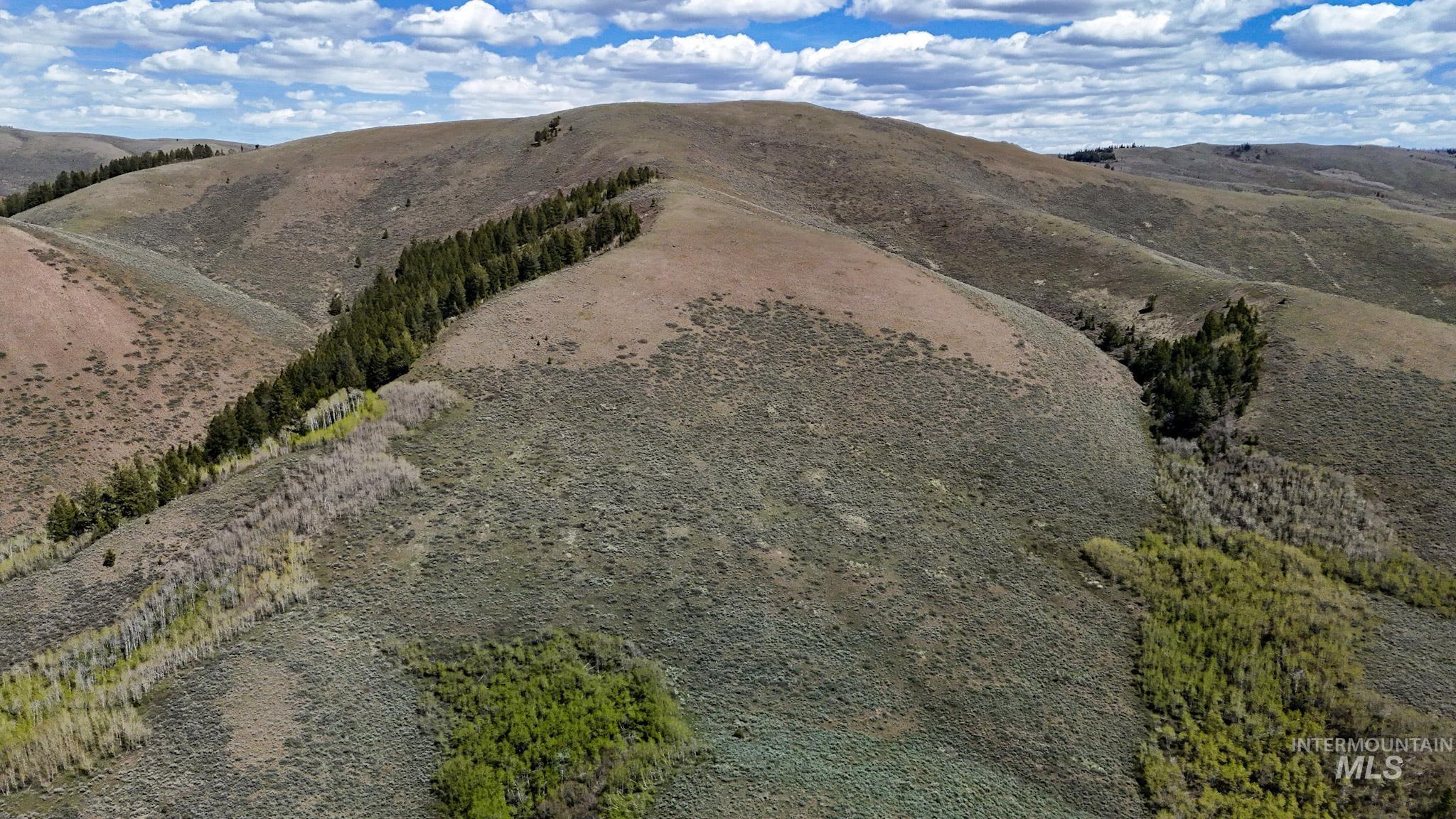 TBD White Ridge Rd, Soda Springs, Idaho 83276, Land For Sale, Price $479,000, 98986001