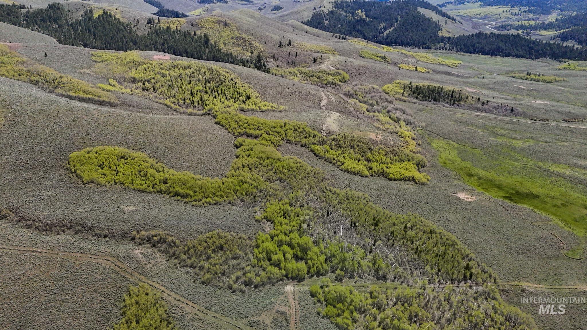 TBD White Ridge Rd, Soda Springs, Idaho 83276, Land For Sale, Price $479,000, 98986001