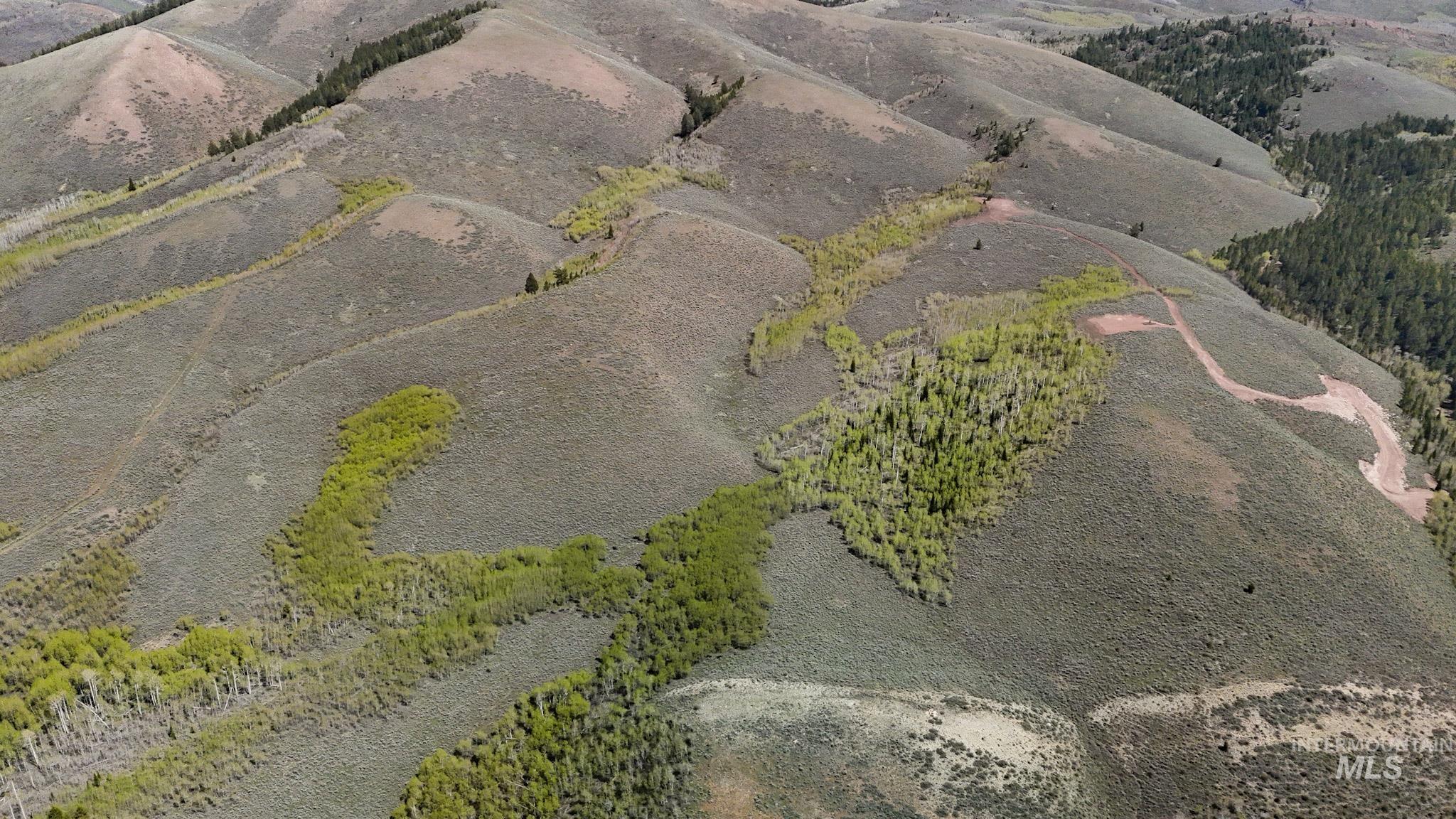 TBD White Ridge Rd, Soda Springs, Idaho 83276, Land For Sale, Price $479,000, 98986001