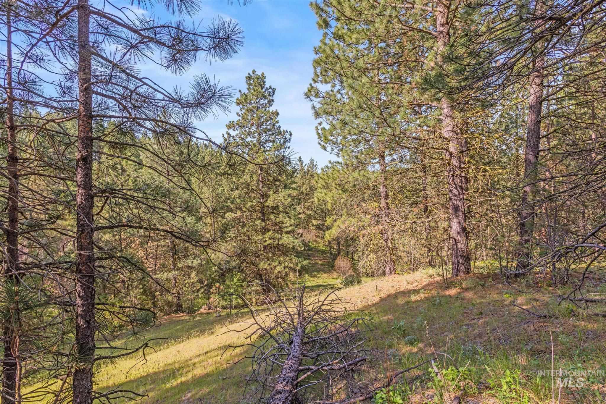 1 Sunset Trail, Banks, Idaho 83602, 5 Bedrooms, 3 Bathrooms, Residential For Sale, Price $699,900, 98986003